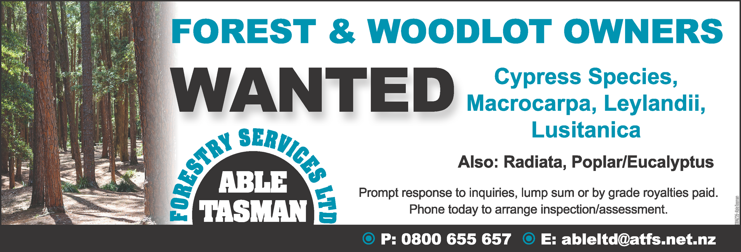 Able Tasman Forestry Services (64h x 188w) (1).png