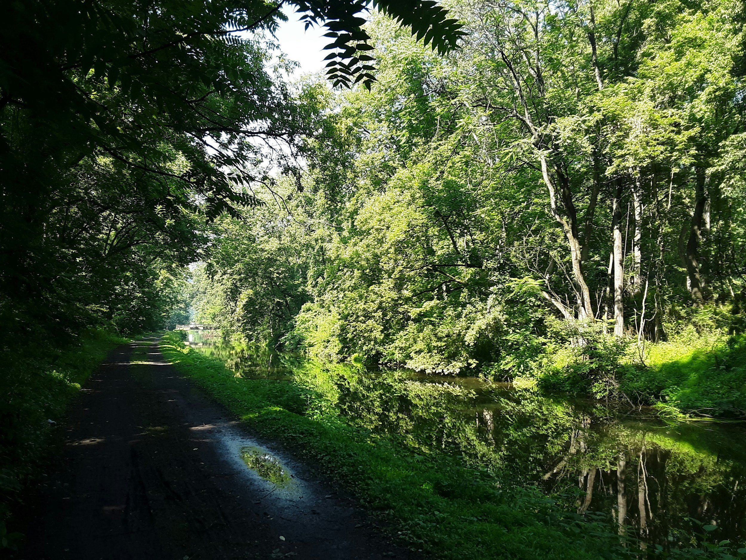 Federated Farmers warns of ‘water tax’ risk