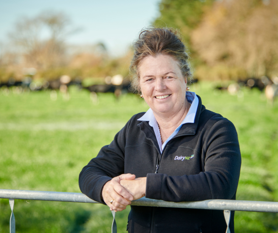 DairyNZ announces Milksolids Levy vote