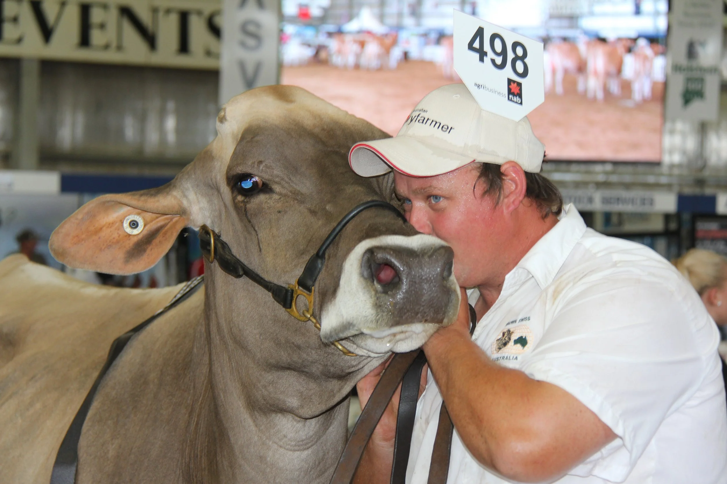 FROM DUST TO DESTINY