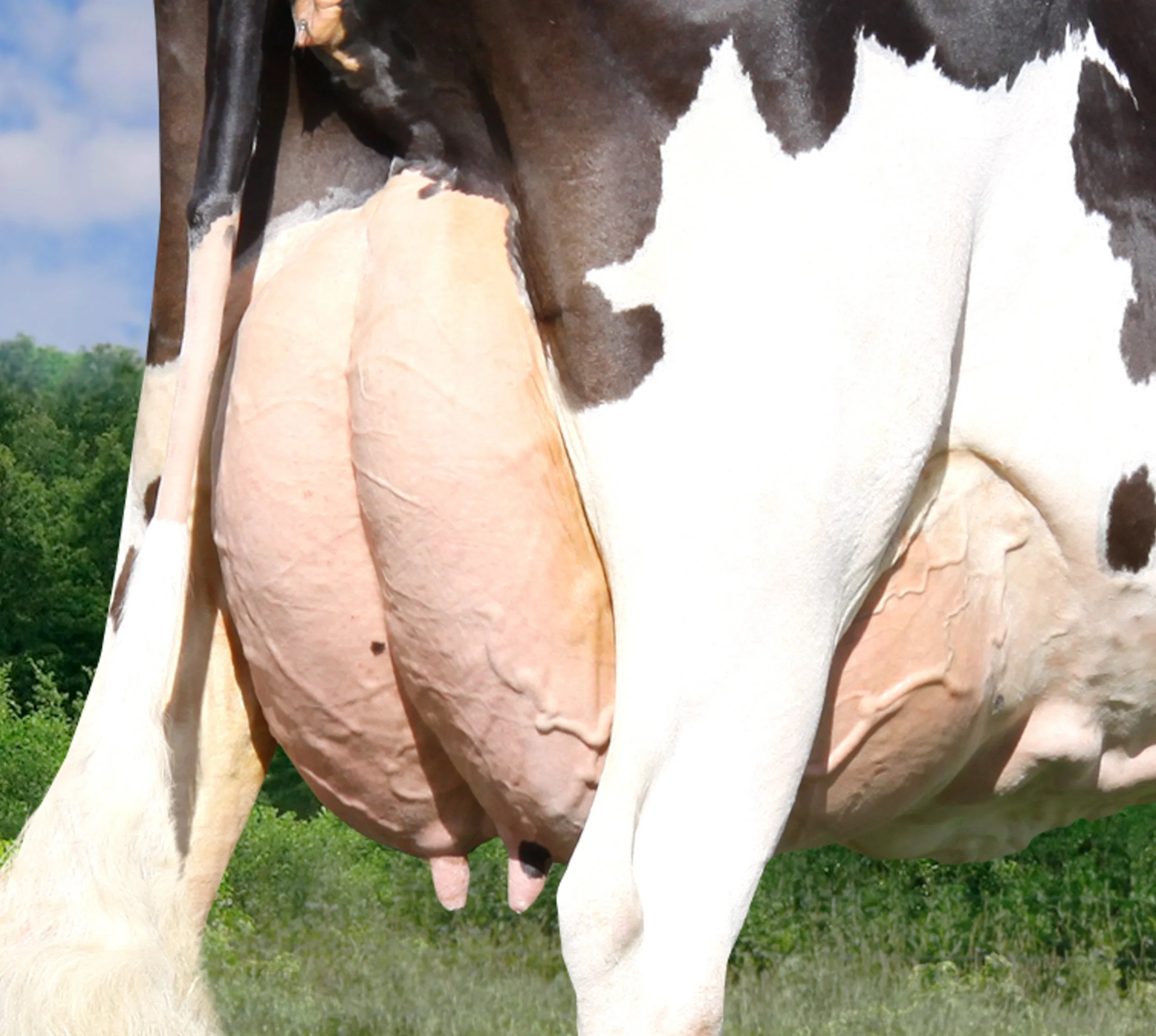 Antibiotic Residues in Milk – Why Early Detection Matters