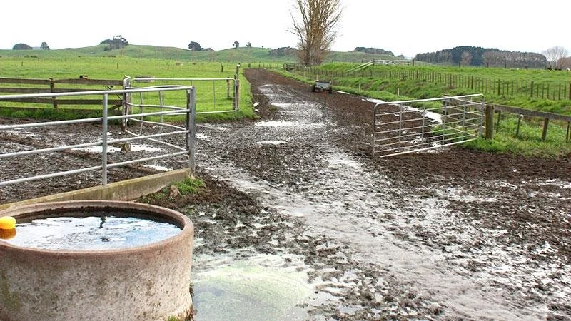 The $500 Farm Mistake That Can Cost $50,000