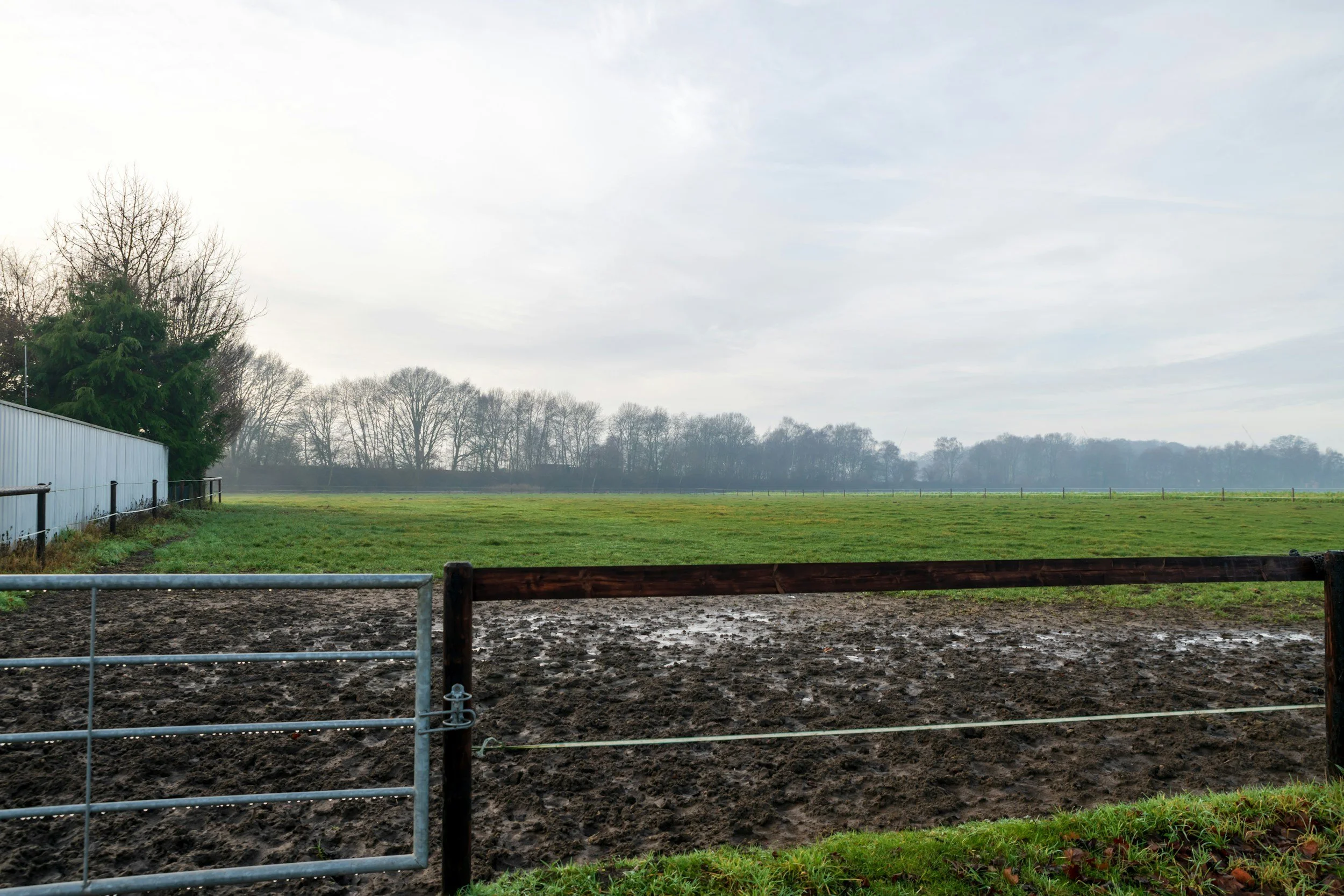 When the Rain Won't Stop: Managing Pasture Pugging Through Wet Weather