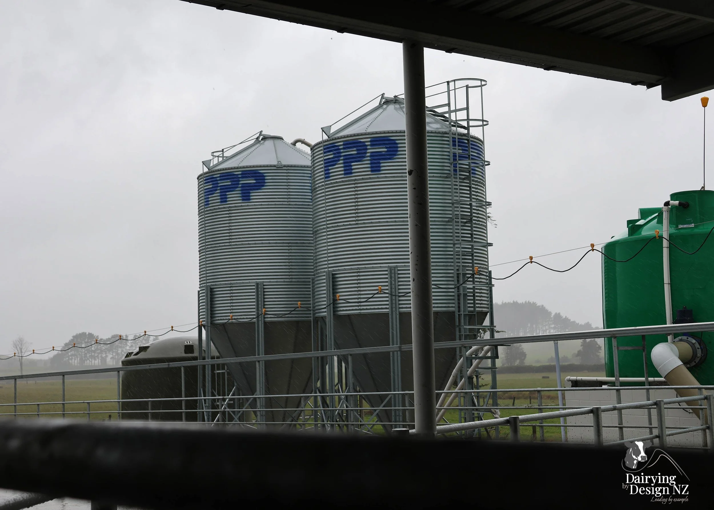 NGAERE FARMS_PPP.jpg