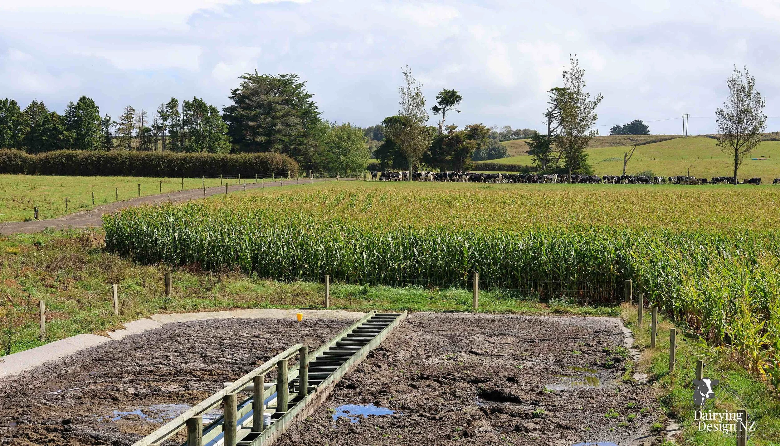 NGAERE FARMS_ViewOverCleanGreen.jpeg