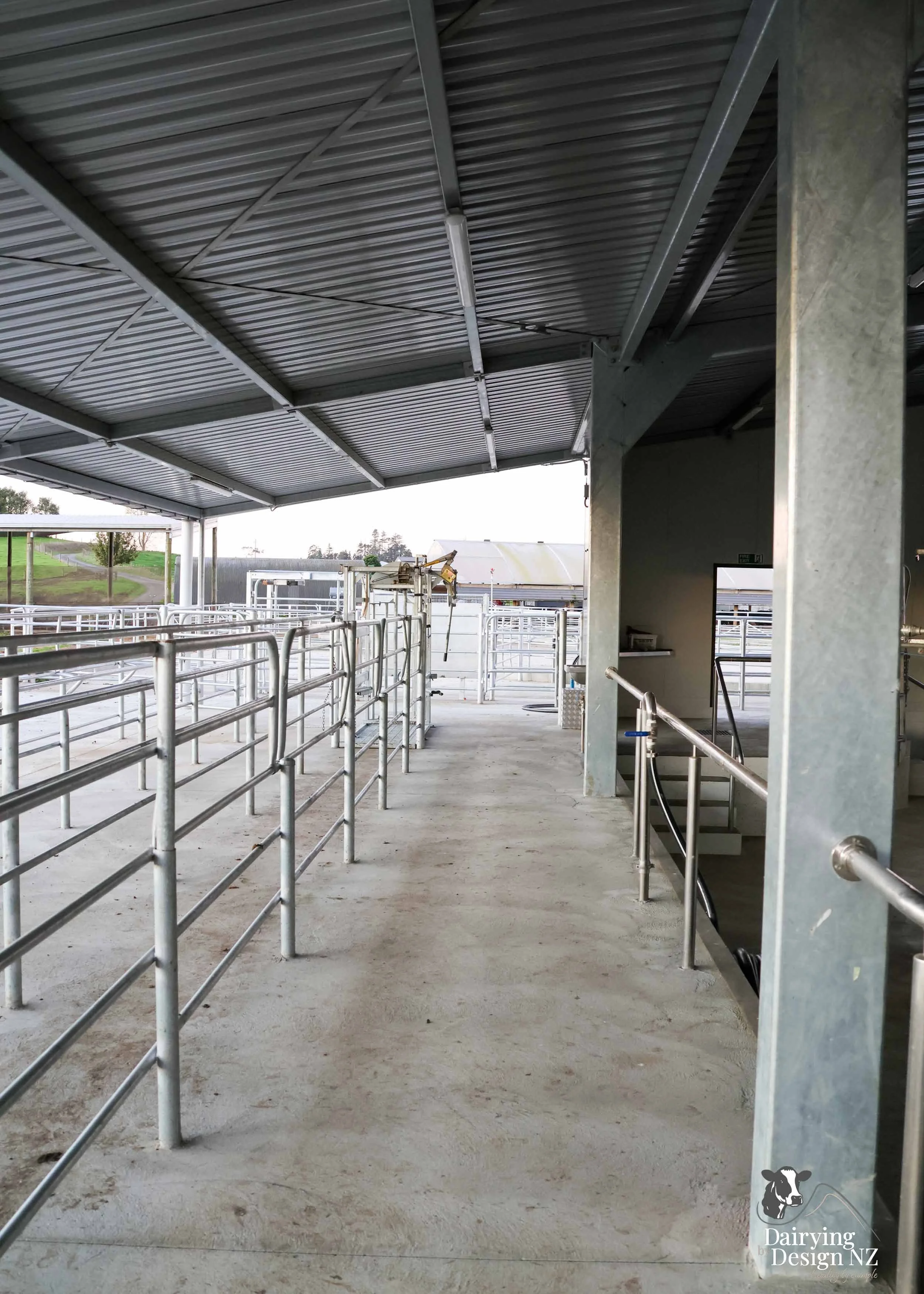HANCOCK_CattleHandling.jpg