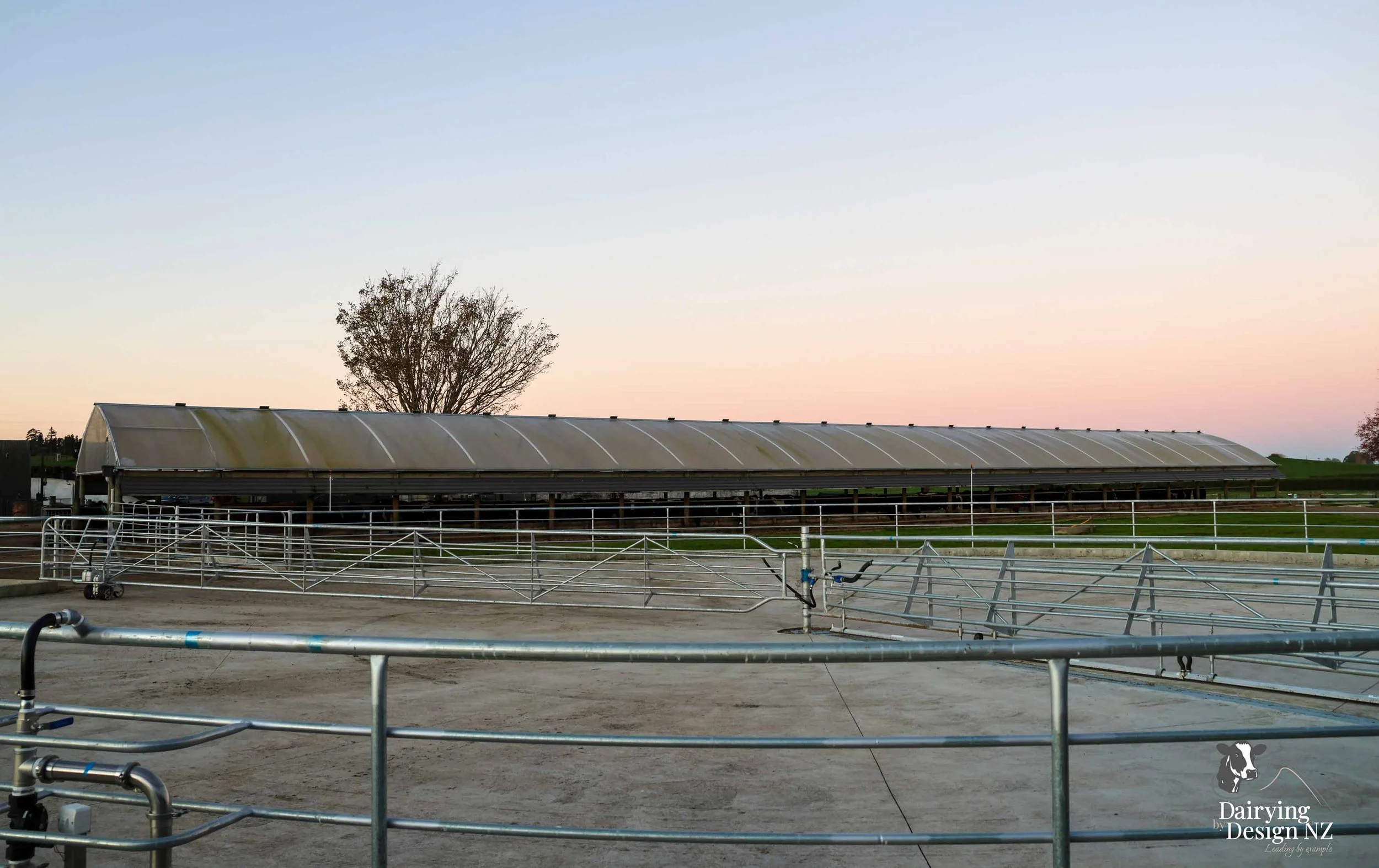 HANCOCK_HerdHome.jpg