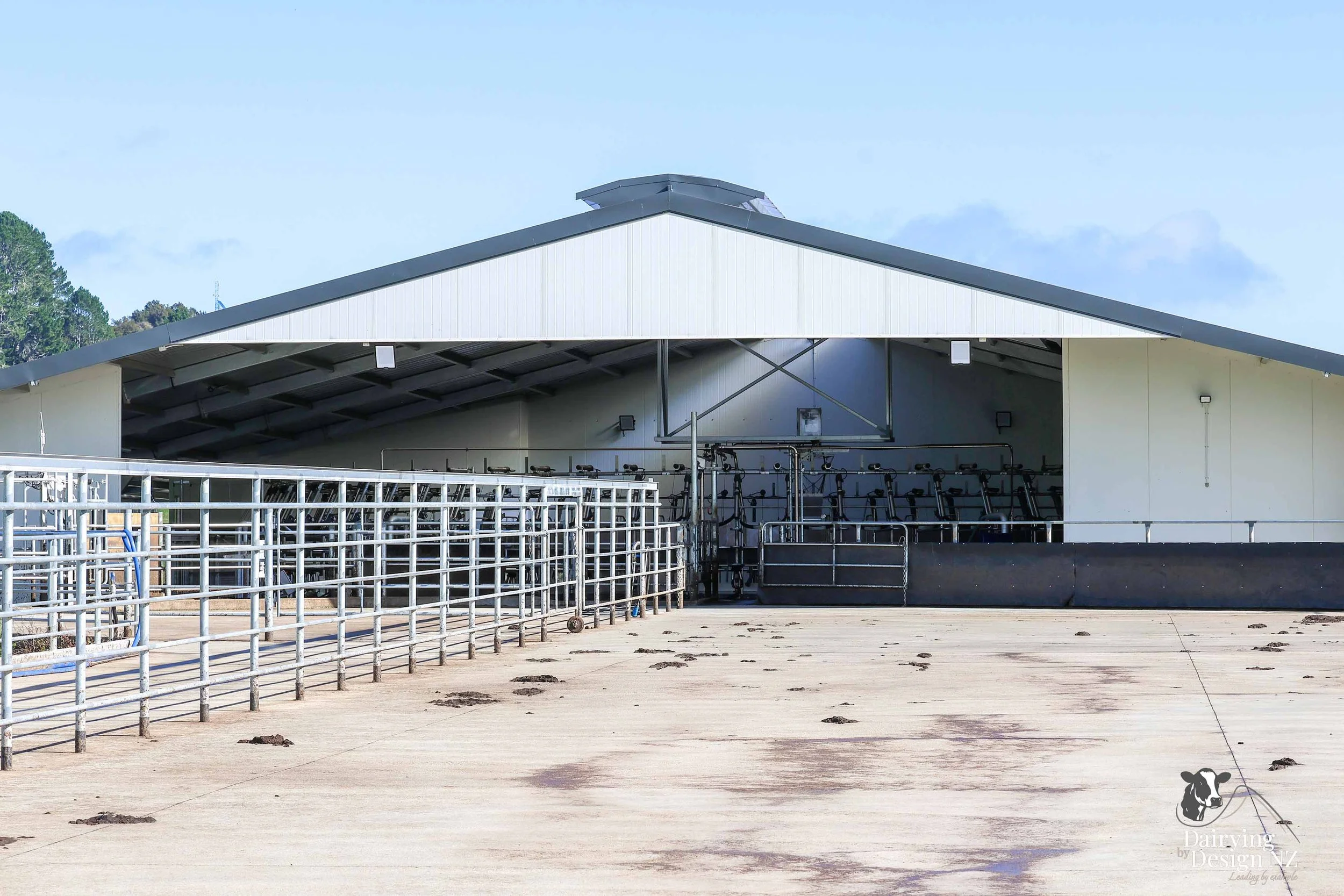  South Waikato rotary dairy shed development designed for efficient milking and cow flow builder Don Chapman Waikato 