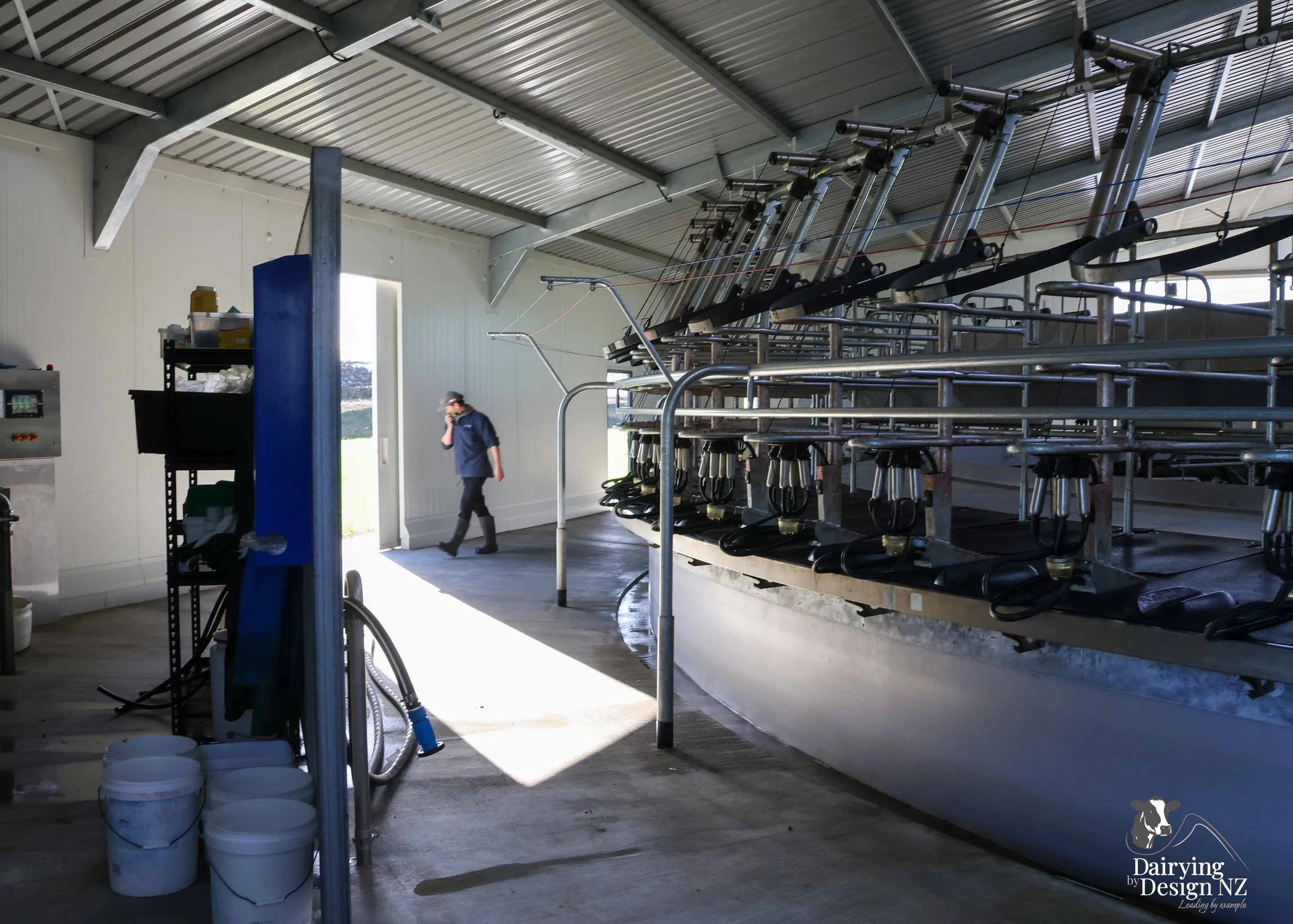  South Waikato rotary dairy shed development designed for efficient milking and cow flow Moa Rotary Platforms 
