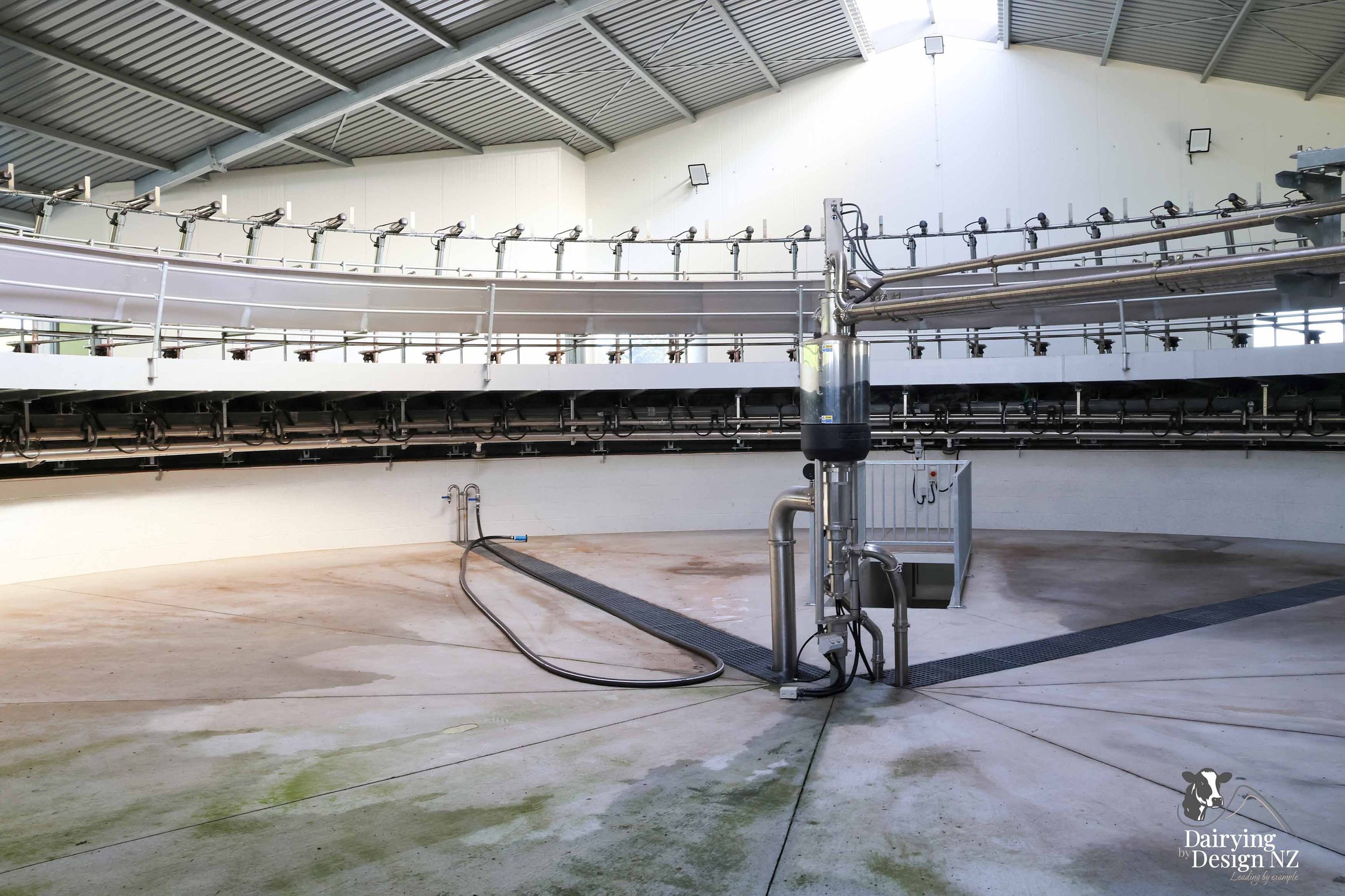  South Waikato rotary dairy shed development designed for efficient milking and cow flow Moa Rotary Platforms 