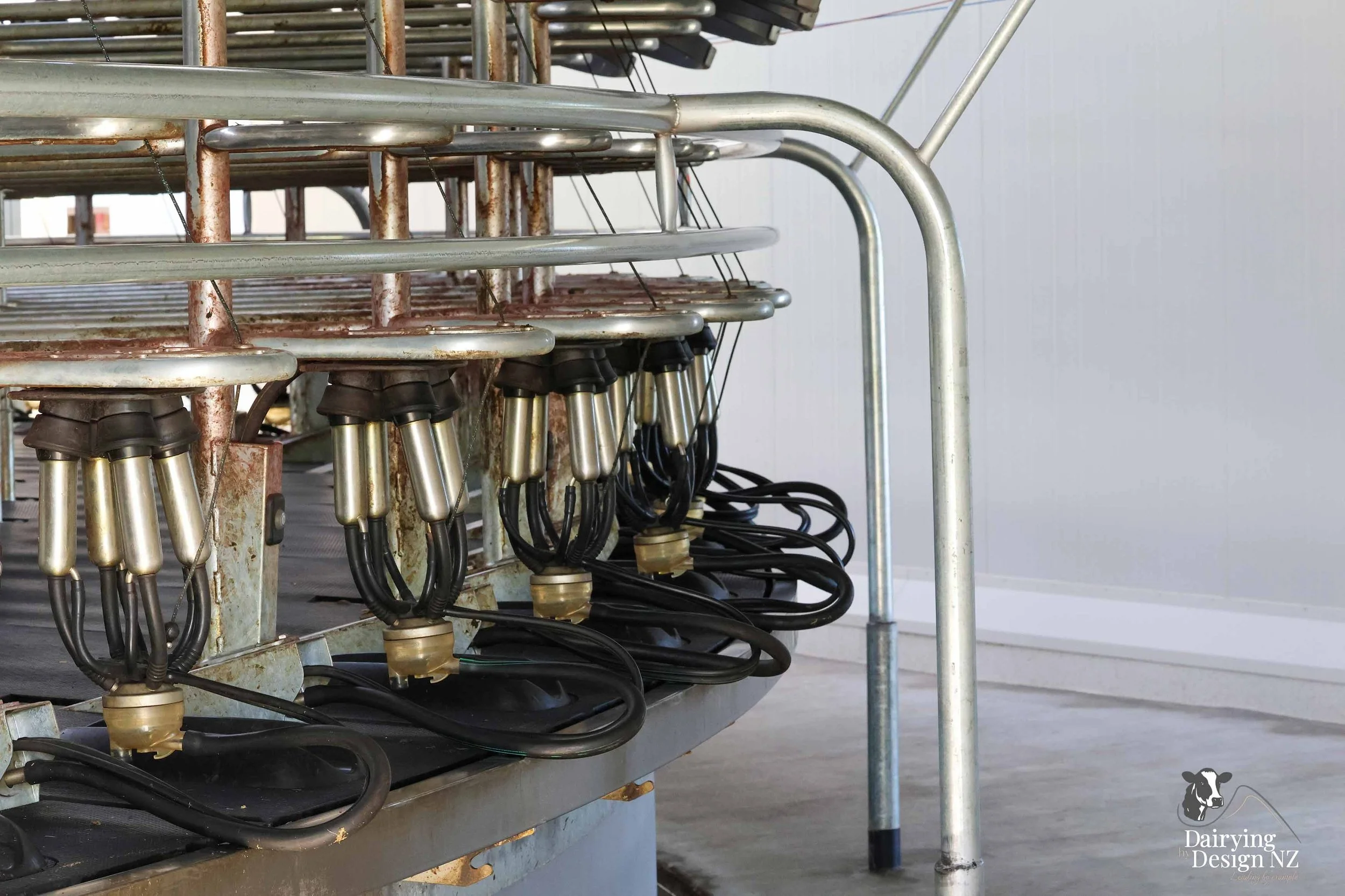  South Waikato rotary dairy shed development designed for efficient milking and cow flow Moa rotary Platforms 