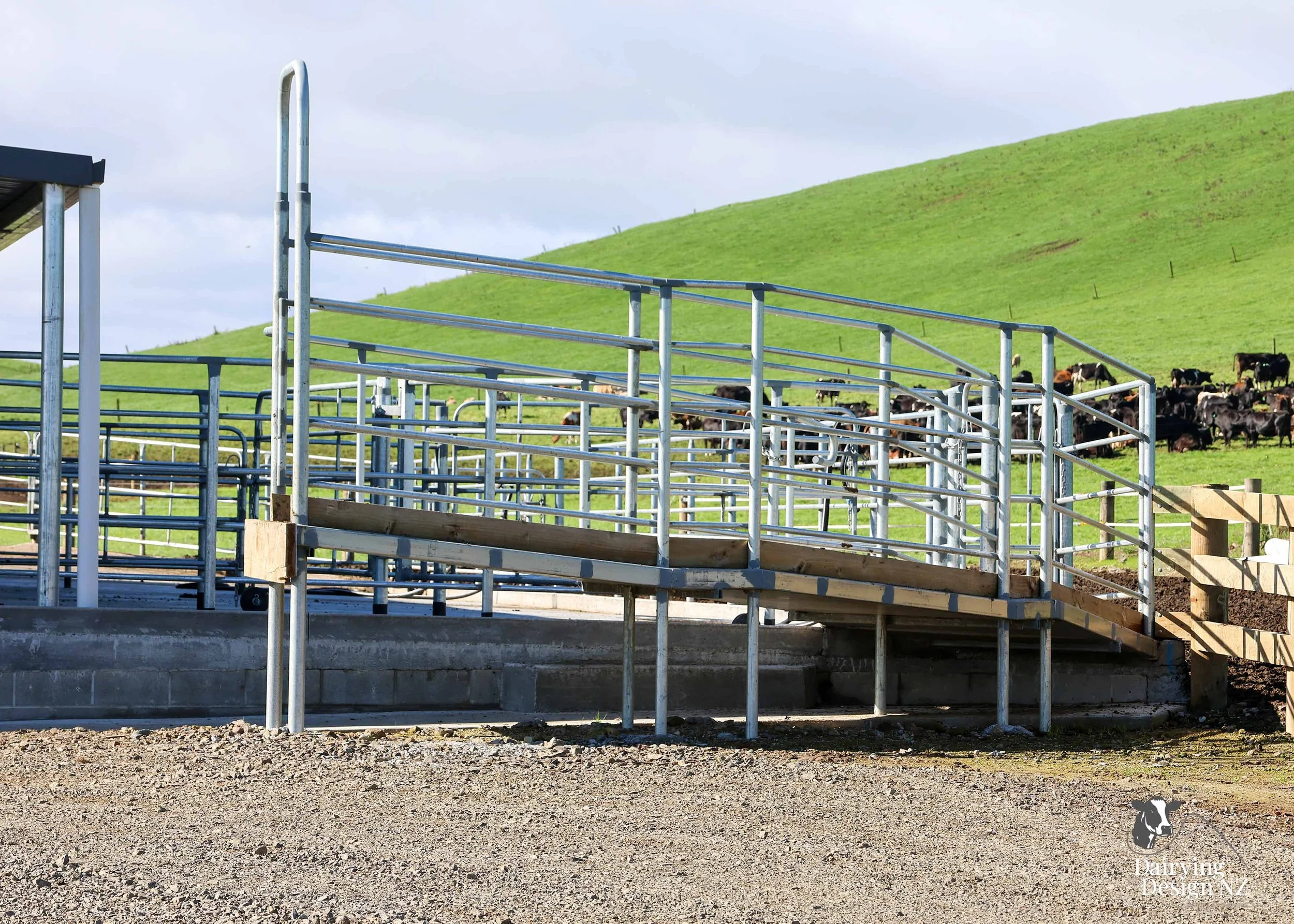  South Waikato rotary dairy shed development designed for efficient milking and cow flow built by Don Chapman Waikato Ltd, featuring a Moa Rotary Platform, yard work by Leask Engineering, feed pad by K&amp;B Builders, electrical work by Laser Electri