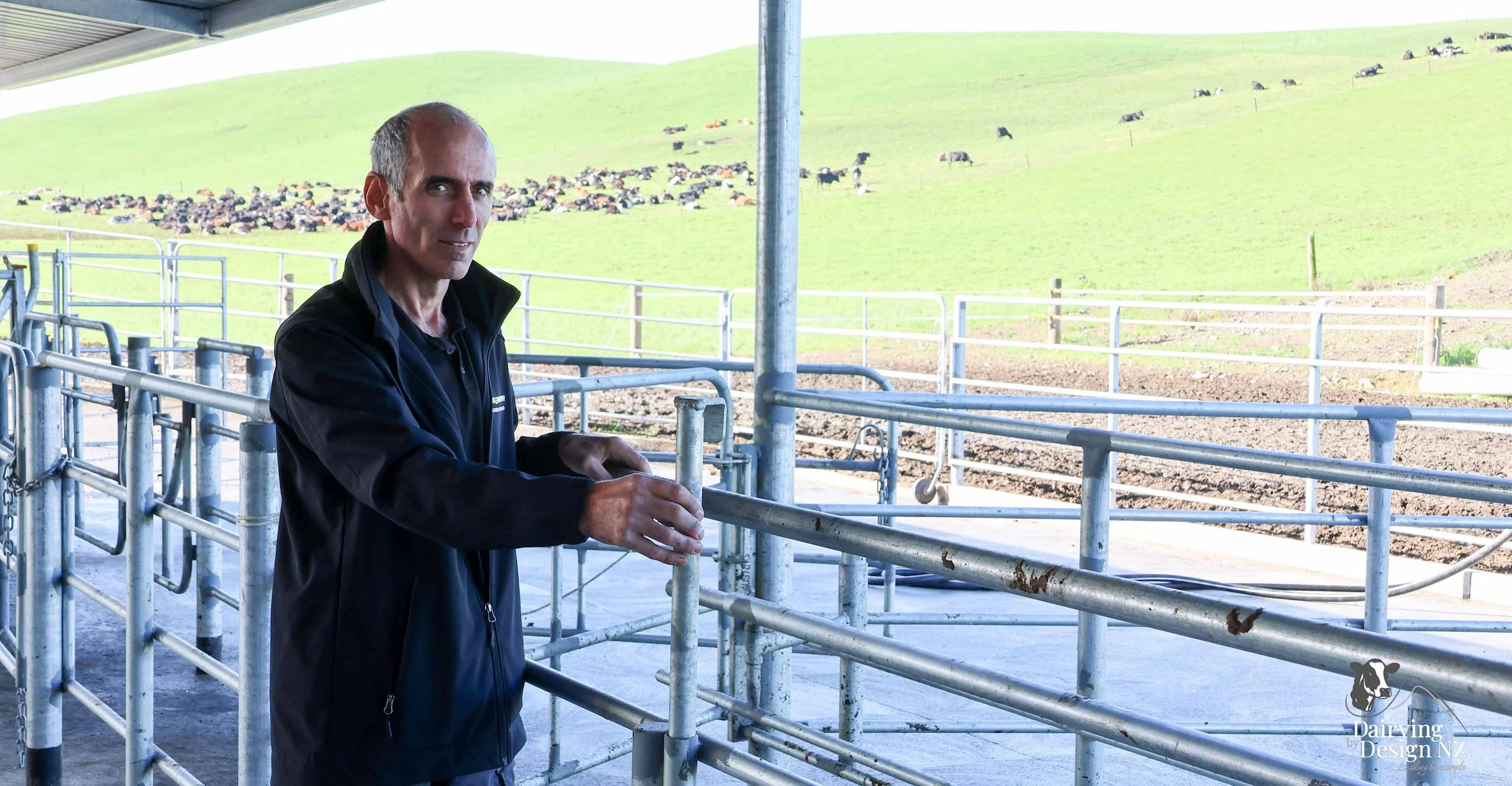  South Waikato rotary dairy shed development designed for efficient milking and cow flow built by Don Chapman Waikato Ltd, featuring a Moa Rotary Platform, yard work by Leask Engineering, feed pad by K&amp;B Builders, electrical work by Laser Electri