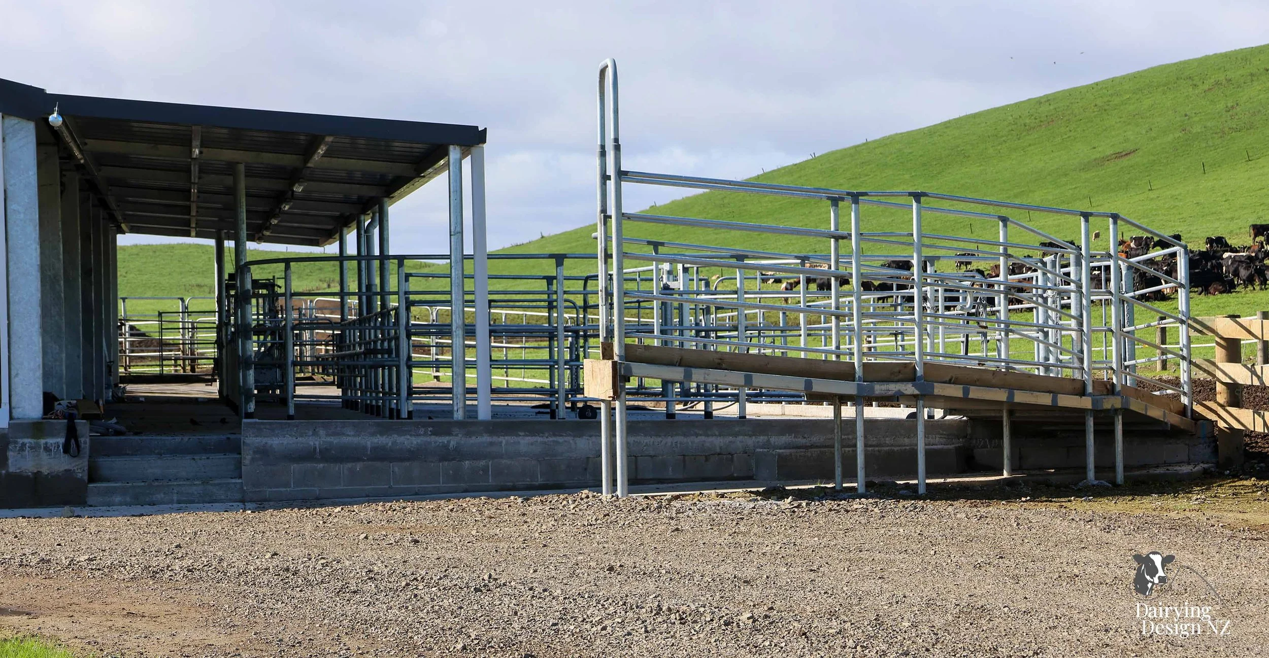 South Waikato rotary dairy shed development designed for efficient milking and cow flow built by Don Chapman Waikato Ltd, featuring a Moa Rotary Platform, yard work by Leask Engineering, feed pad by K&amp;B Builders, electrical work by Laser Electri