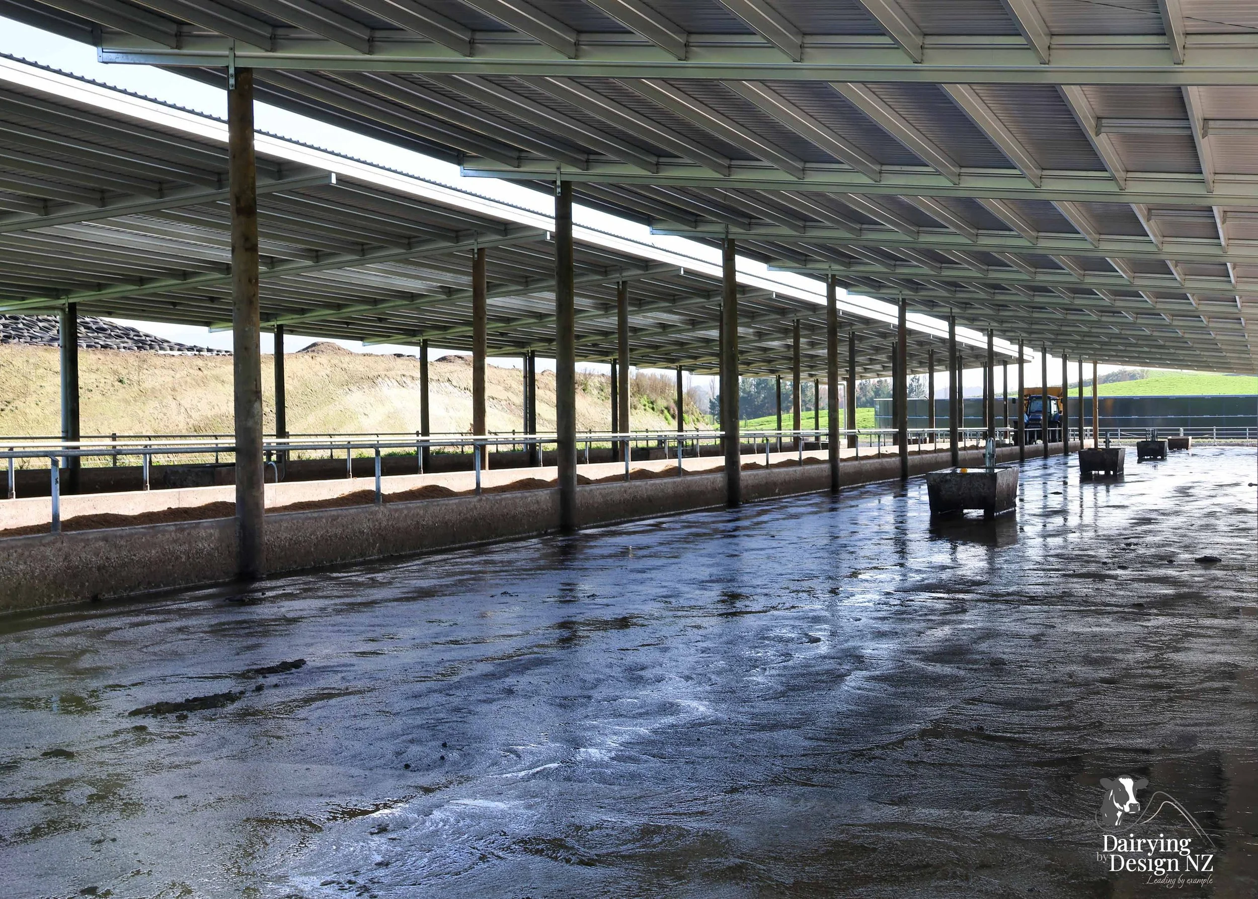  South Waikato rotary dairy shed development designed for efficient milking and cow flow built by Don Chapman Waikato Ltd, featuring a Moa Rotary Platform, yard work by Leask Engineering, feed pad by K&amp;B Builders, electrical work by Laser Electri