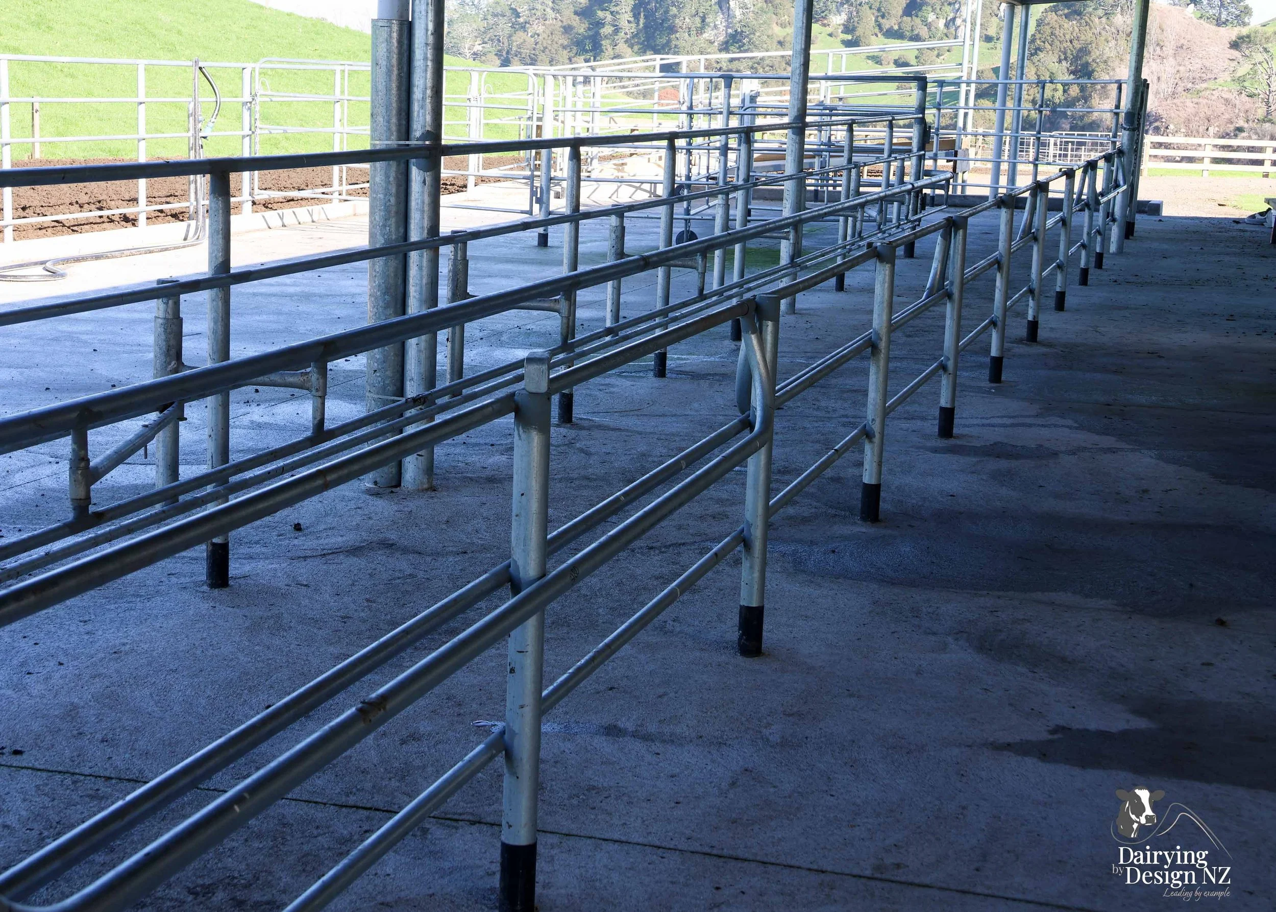  South Waikato rotary dairy shed development designed for efficient milking and cow flow built by Don Chapman Waikato Ltd, featuring a Moa Rotary Platform, yard work by Leask Engineering, feed pad by K&amp;B Builders, electrical work by Laser Electri