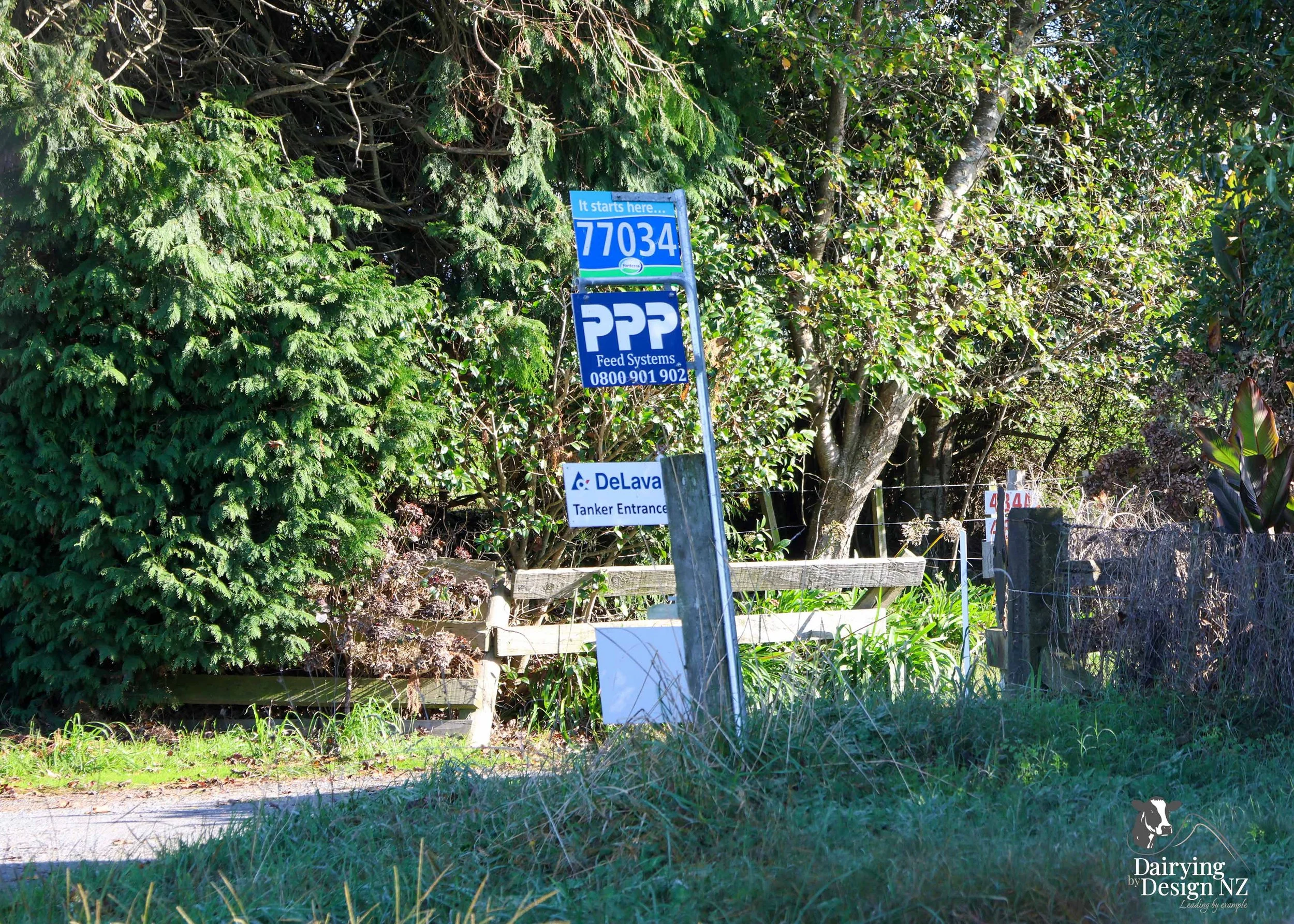 LECKY_Driveway.jpg