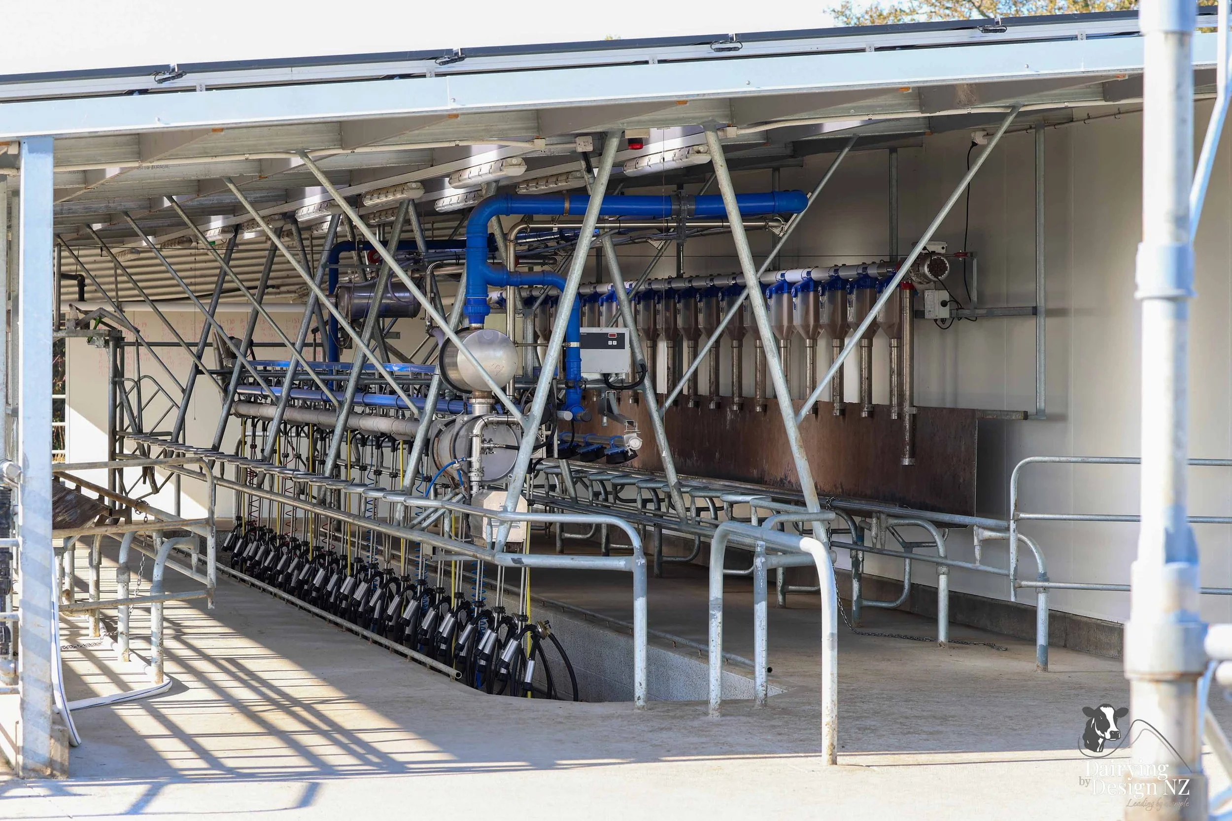 LECKY_InteriorDairy1.jpg