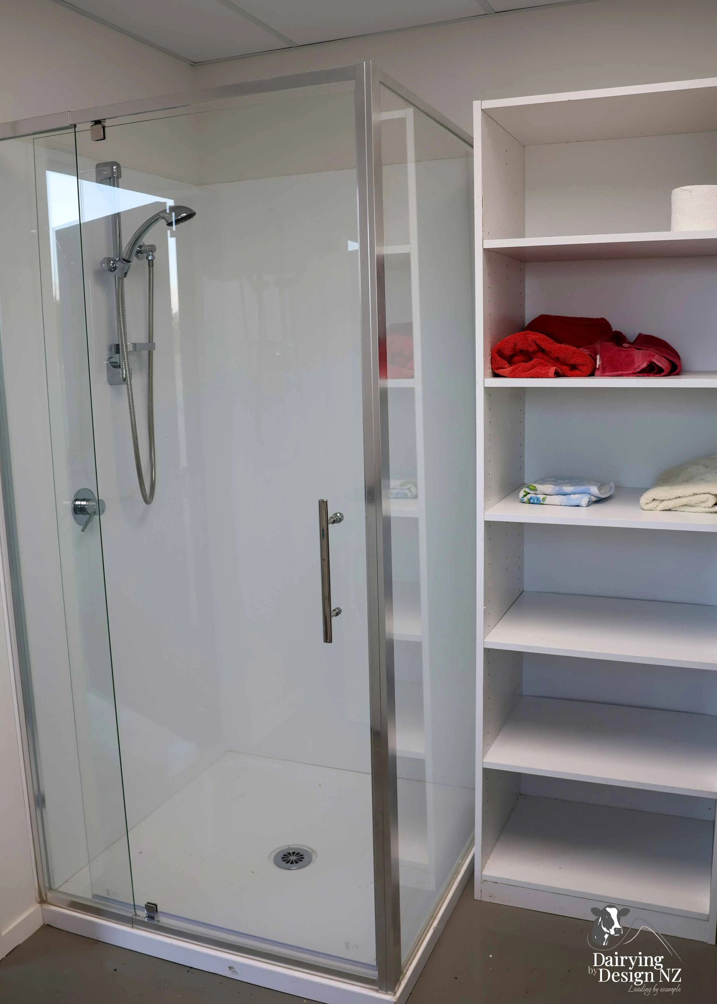 REYMER_Shower.jpg