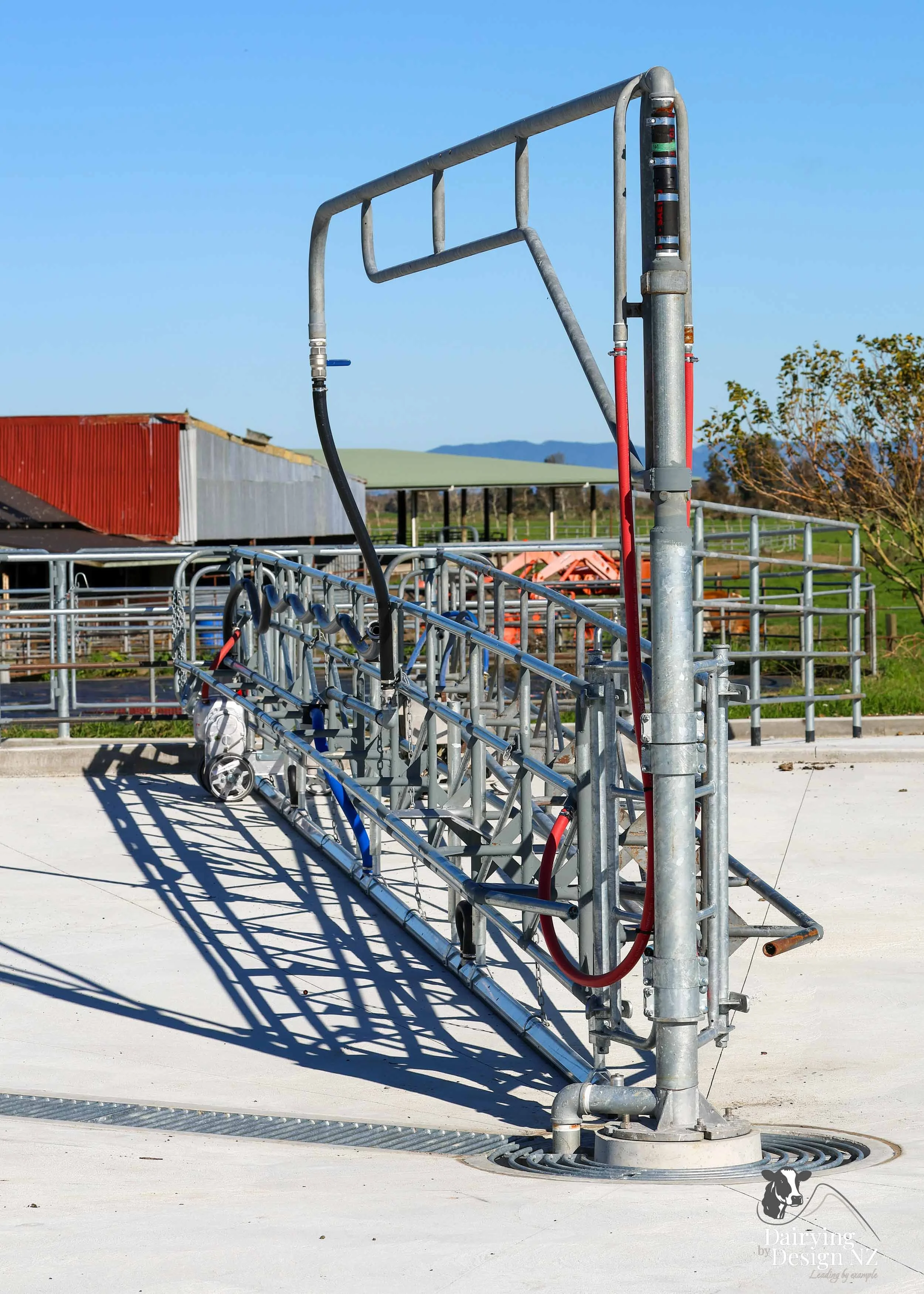  Waikato rotary dairy shed development designed for efficient milking and cow flow built by Don Chapman Waikato Ltd, featuring a Kopu Engineering Platform, yard work by Leask Engineering, milking plant by Ngatea Milking &amp; Pumping, Milkhub system 