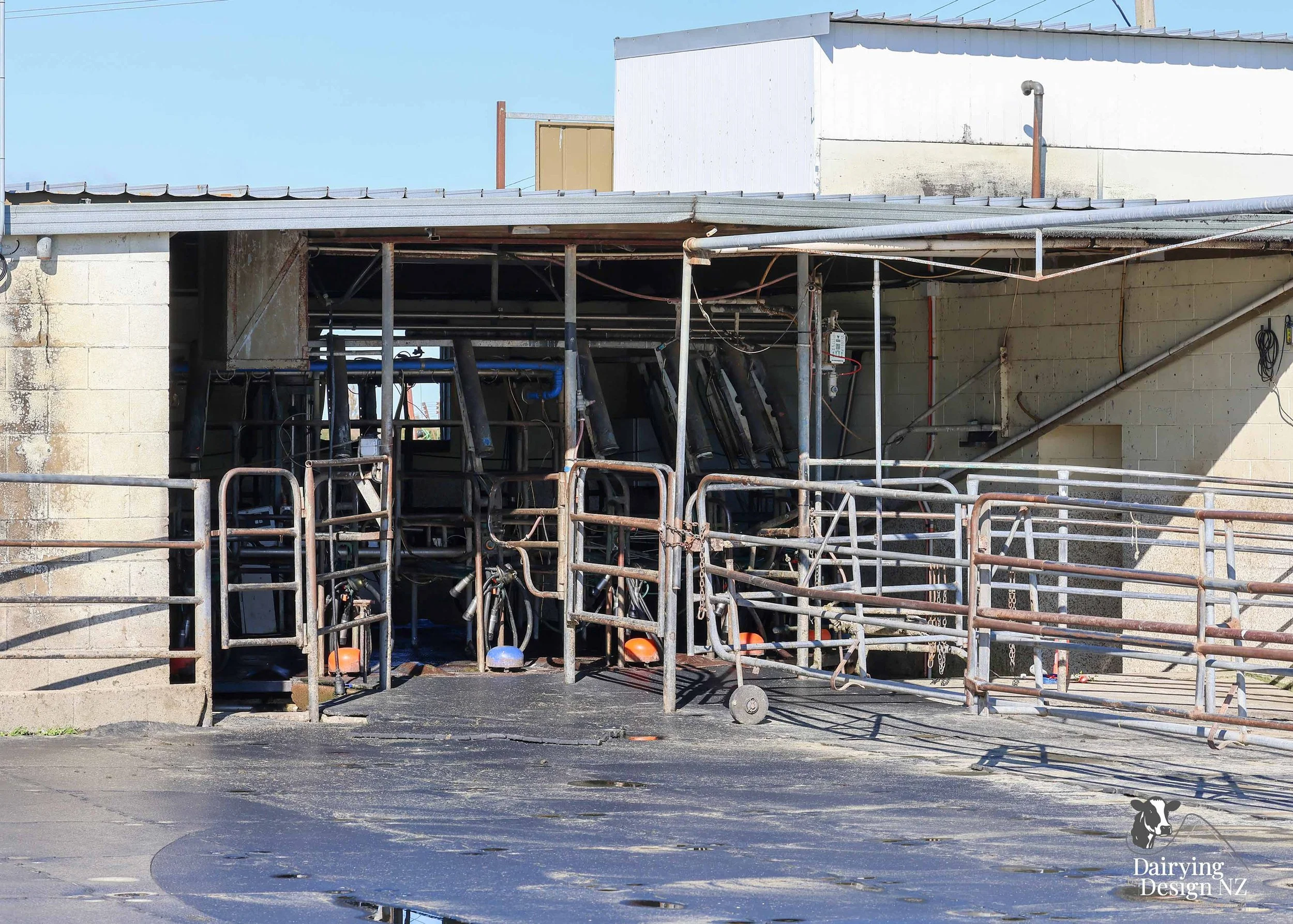  Waikato rotary dairy shed development designed for efficient milking and cow flow built by Don Chapman Waikato Ltd, featuring a Kopu Engineering Platform, yard work by Leask Engineering, milking plant by Ngatea Milking &amp; Pumping, Milkhub system 