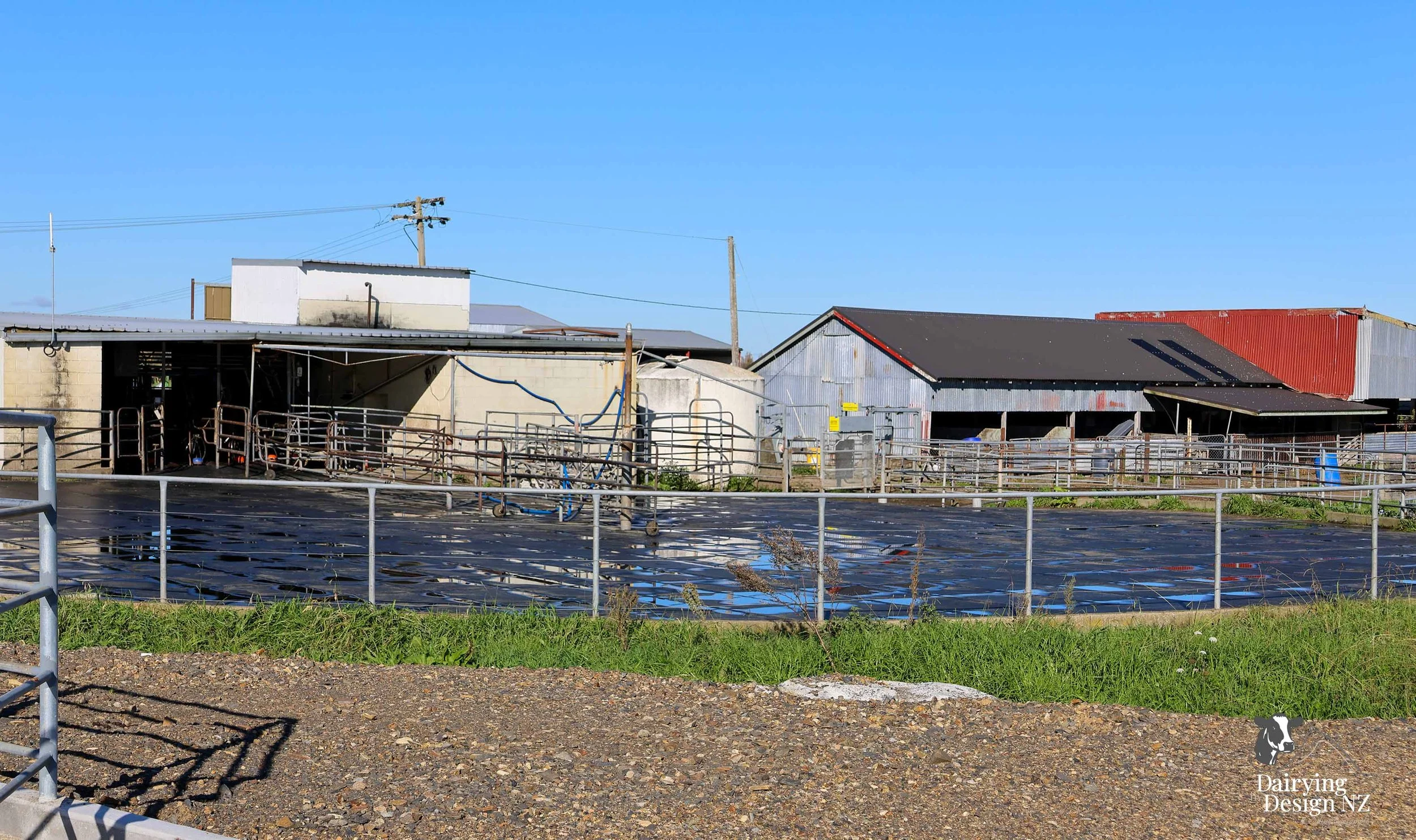  Waikato rotary dairy shed development designed for efficient milking and cow flow built by Don Chapman Waikato Ltd, featuring a Kopu Engineering Platform, yard work by Leask Engineering, milking plant by Ngatea Milking &amp; Pumping, Milkhub system 