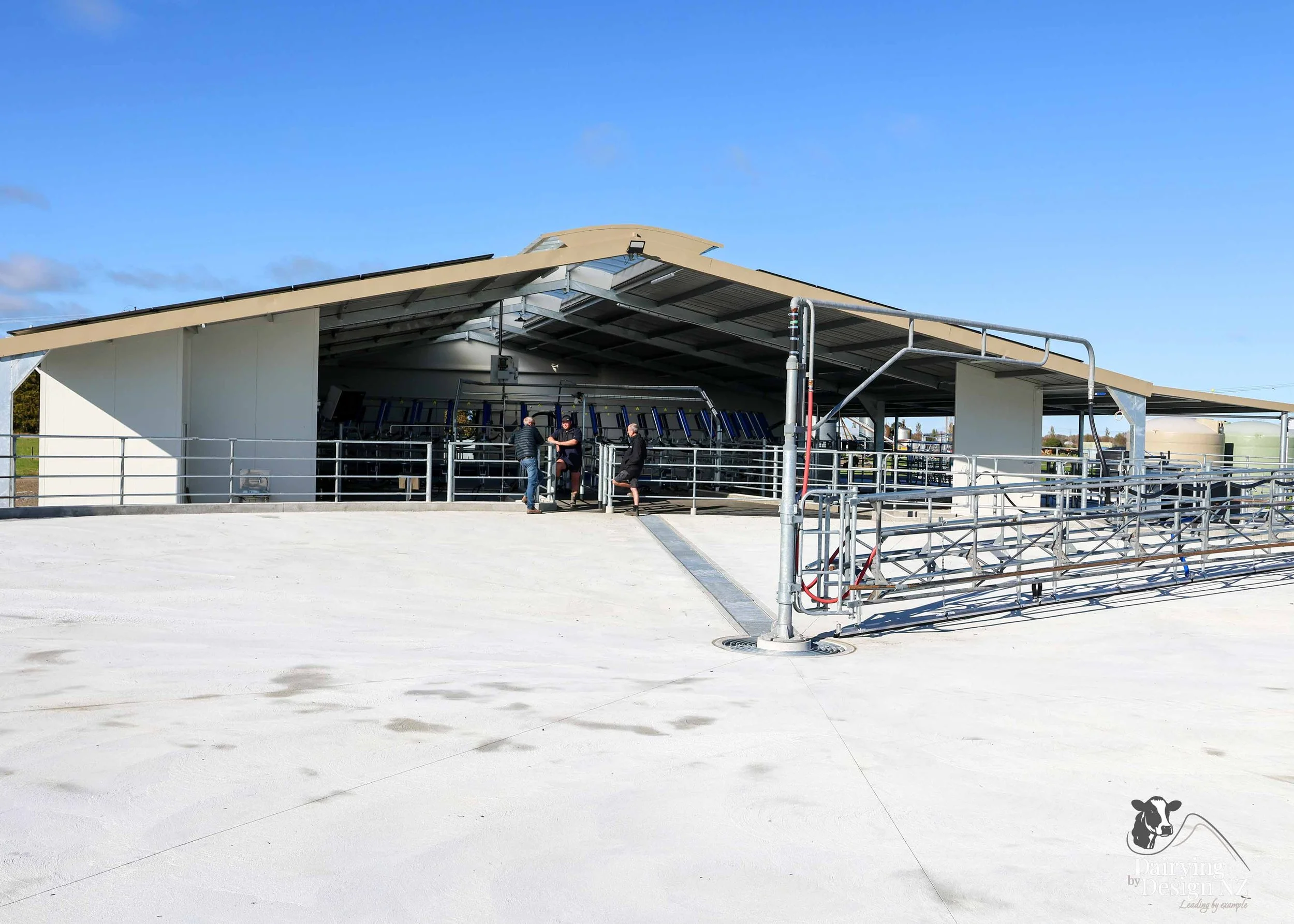  Waikato rotary dairy shed development designed for efficient milking and cow flow built by Don Chapman Waikato Ltd, featuring a Kopu Engineering Platform, yard work by Leask Engineering, milking plant by Ngatea Milking &amp; Pumping, Milkhub system 