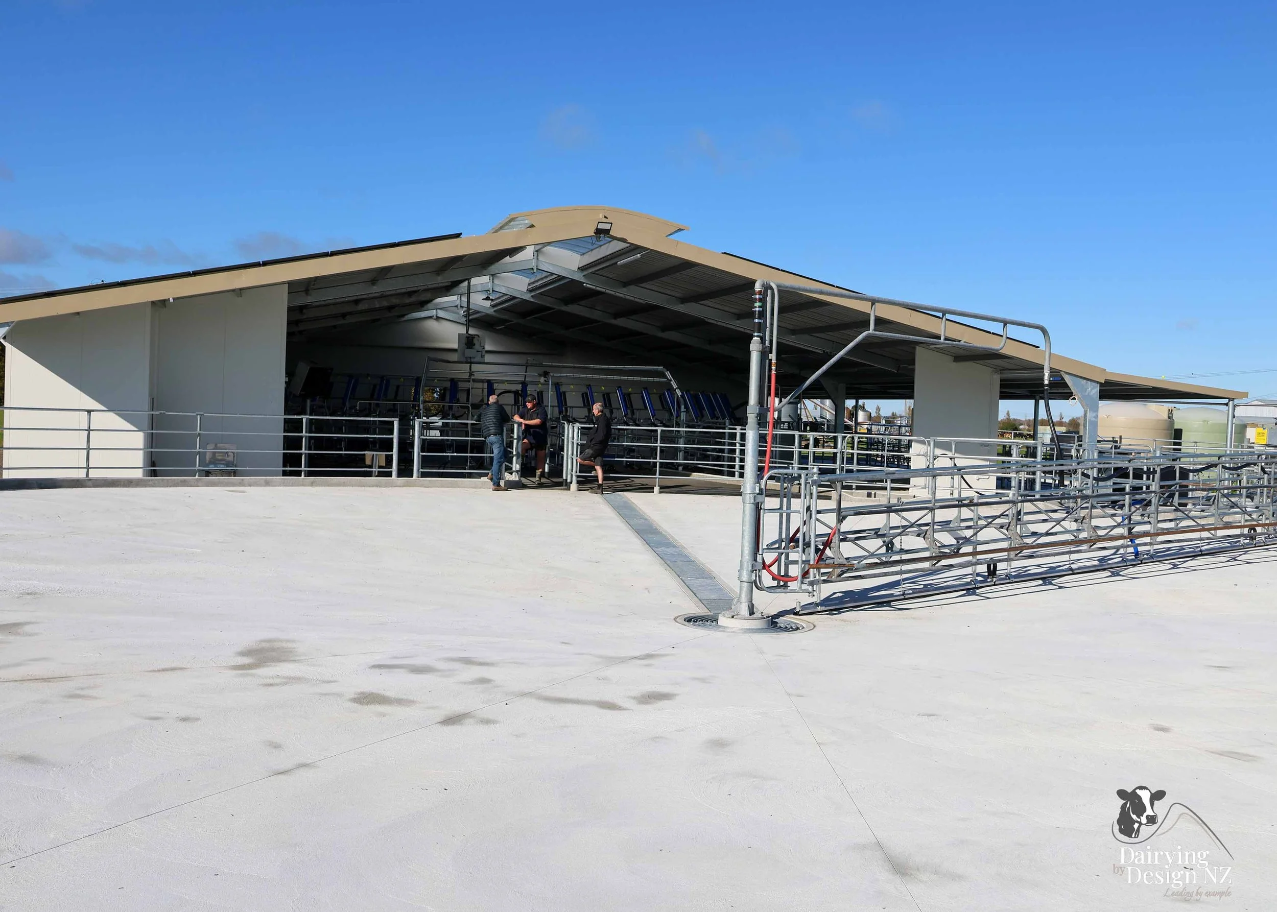  Waikato rotary dairy shed development designed for efficient milking and cow flow built by Don Chapman Waikato Ltd, featuring a Kopu Engineering Platform, yard work by Leask Engineering, milking plant by Ngatea Milking &amp; Pumping, Milkhub system 