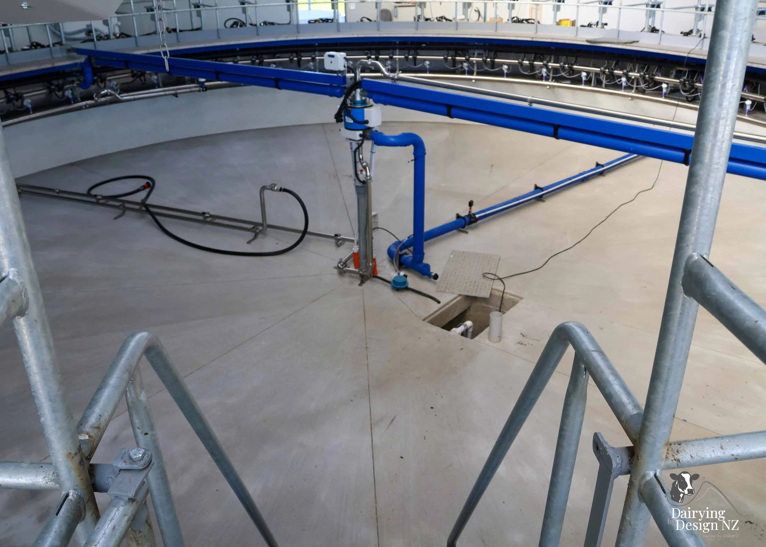  Waikato rotary dairy shed development designed for efficient milking and cow flow built by Don Chapman Waikato Ltd, featuring a Kopu Engineering Platform, yard work by Leask Engineering, milking plant by Ngatea Milking &amp; Pumping, Milkhub system 