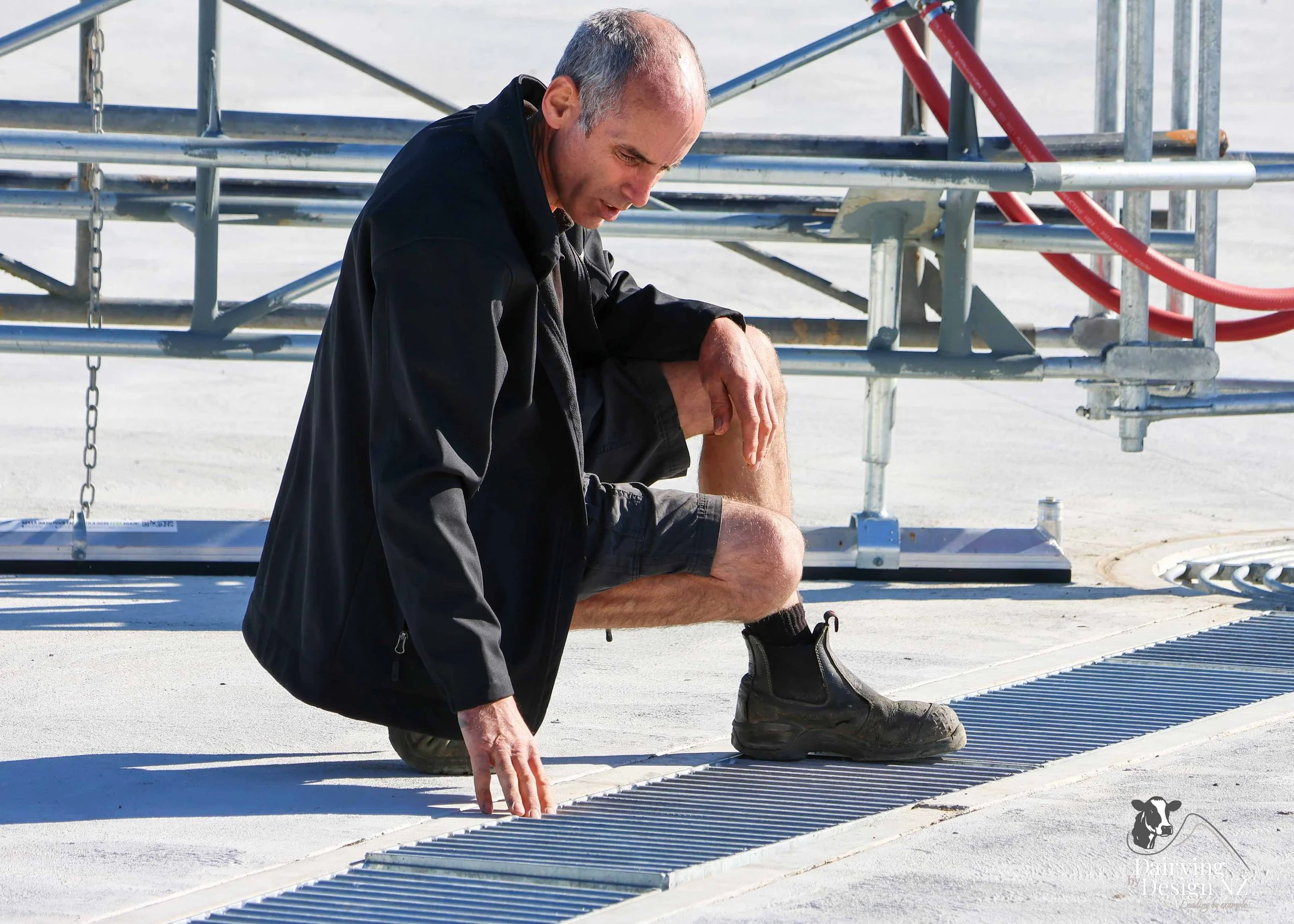  Waikato rotary dairy shed development designed for efficient milking and cow flow built by Don Chapman Waikato Ltd, featuring a Kopu Engineering Platform, yard work by Leask Engineering, milking plant by Ngatea Milking &amp; Pumping, Milkhub system 
