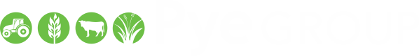 Pye-Group-Logo.png