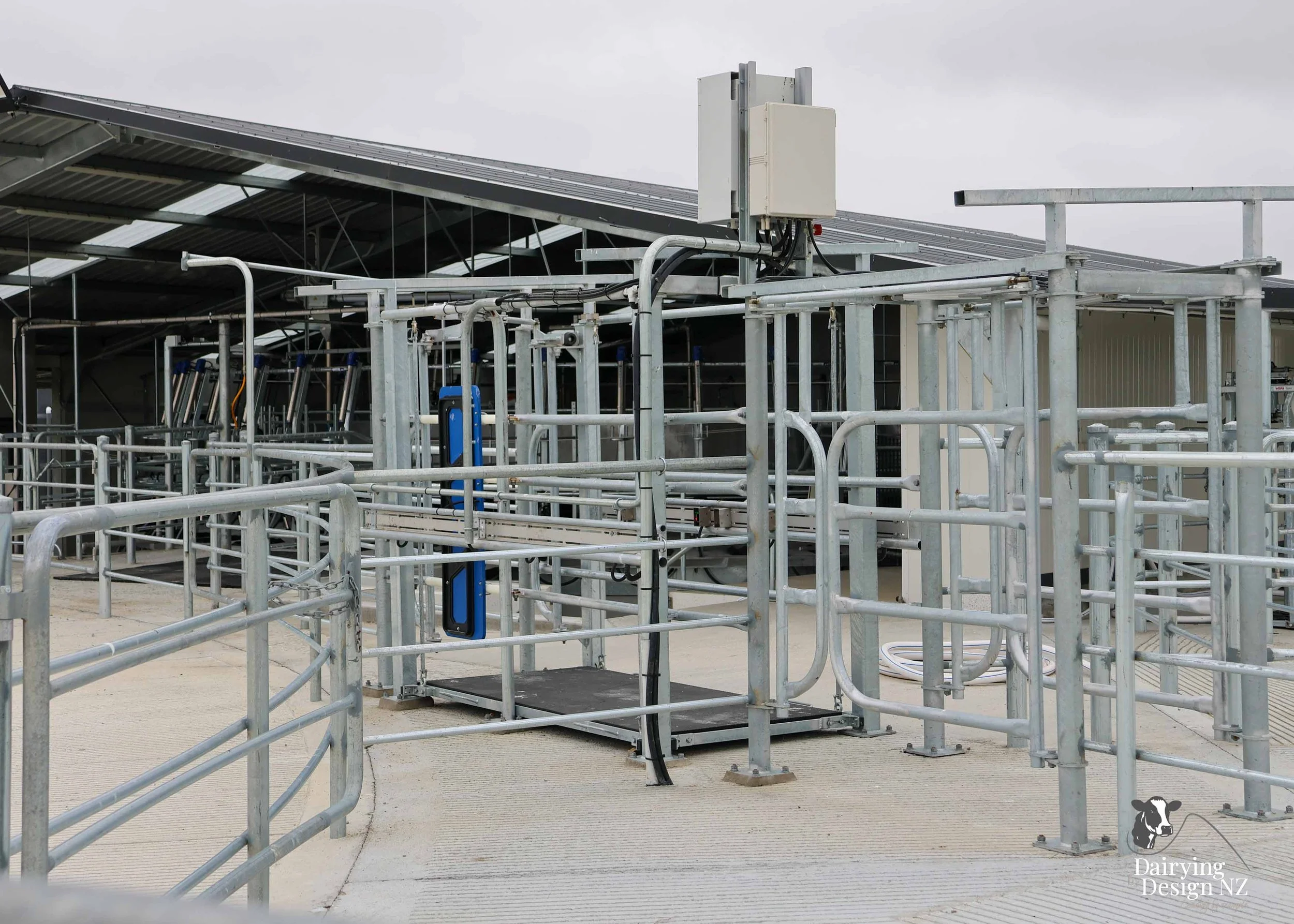  Canterbury rotary dairy shed development designed for efficient milking and cow flow built by Rural Building Solutions, featuring a Donald Engineering Rotary Platform, Earthworks by Densem Contracting 2010 Ltd, Refrigeration by Dairycool, Feed silos