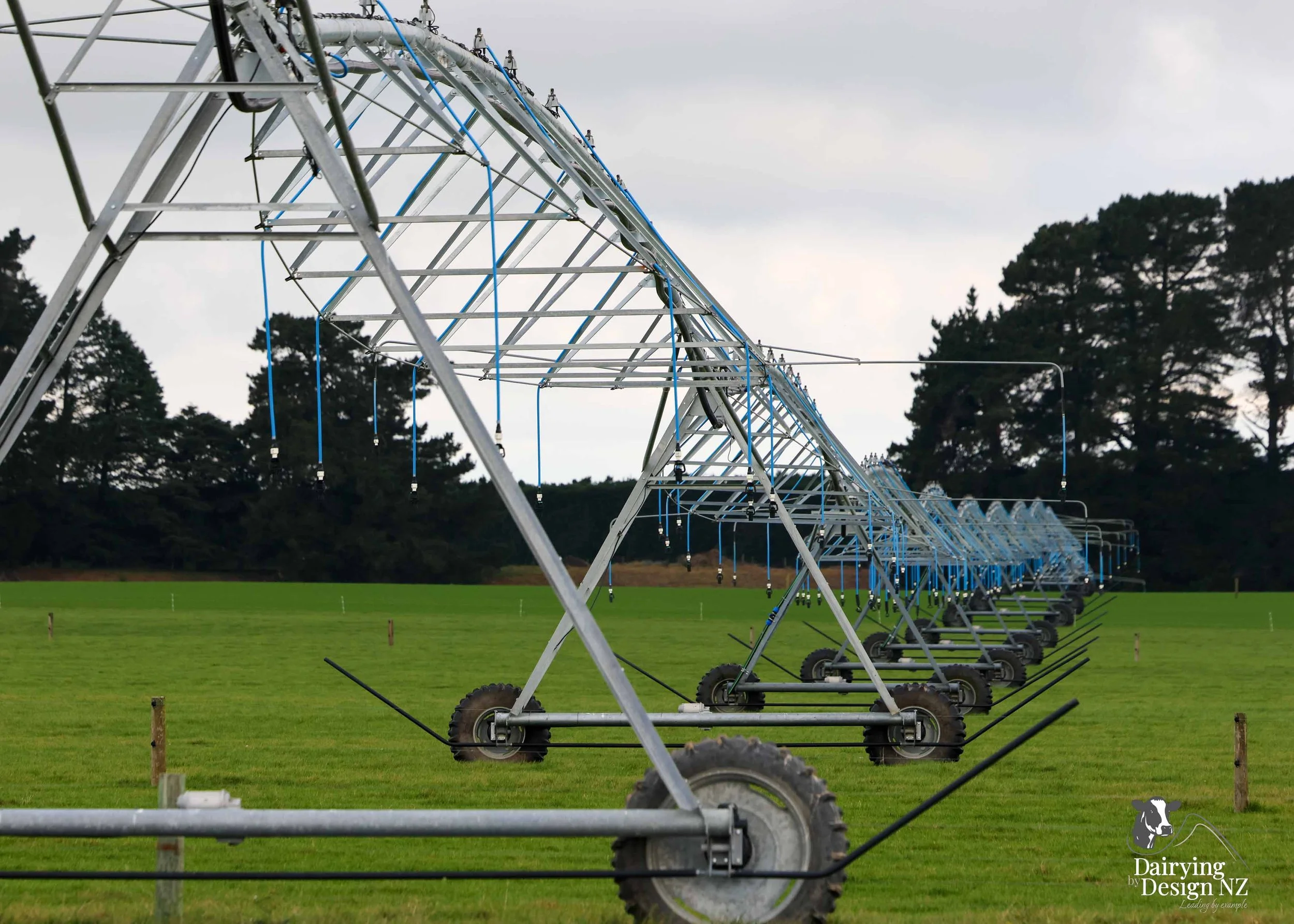  Canterbury rotary dairy shed development designed for efficient milking and cow flow built by Rural Building Solutions, featuring a Donald Engineering Rotary Platform, Earthworks by Densem Contracting 2010 Ltd, Refrigeration by Dairycool, Feed silos