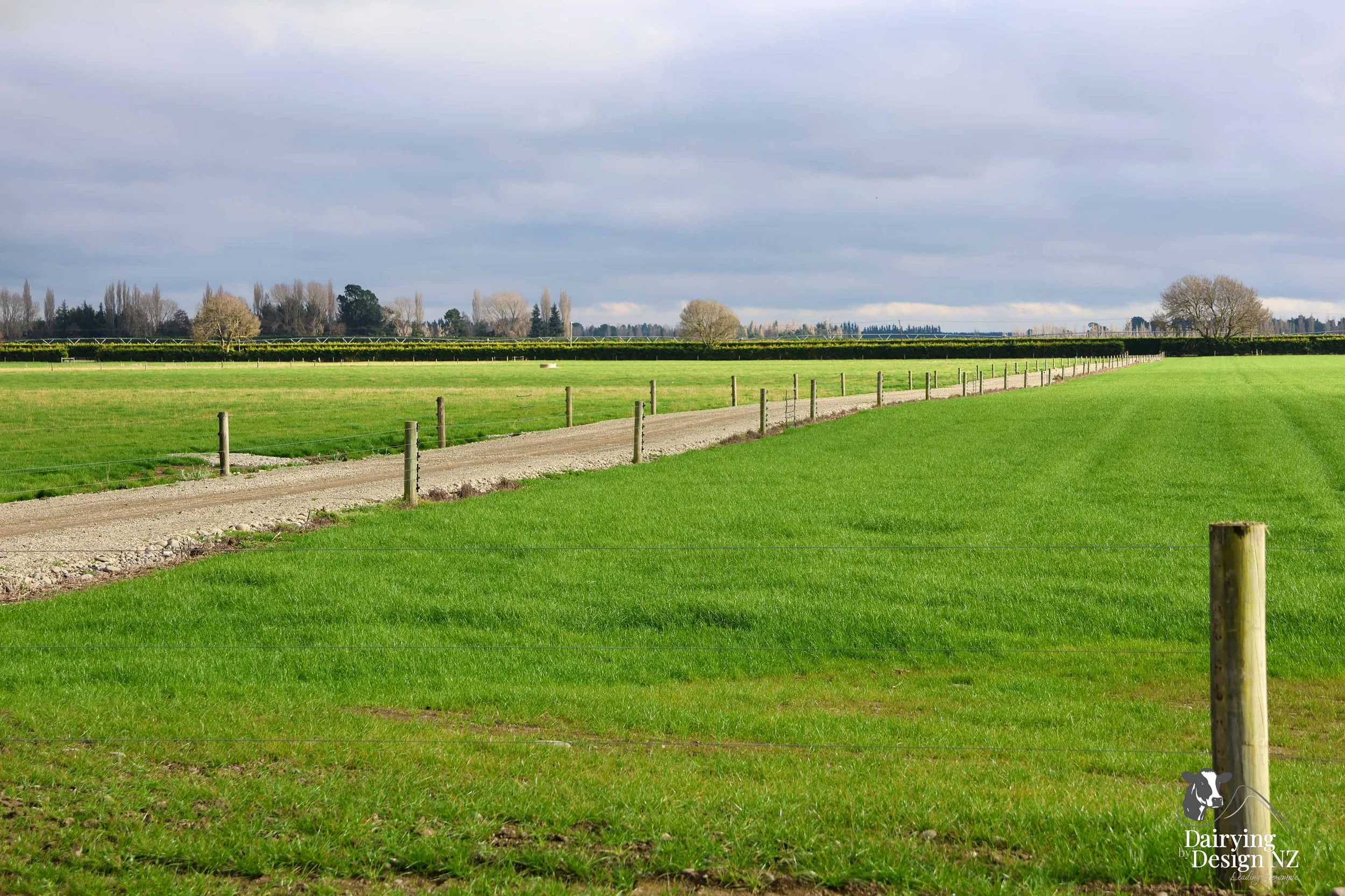  Canterbury rotary dairy shed development designed for efficient milking and cow flow built by Rural Building Solutions, featuring a Donald Engineering Rotary Platform, Earthworks by Densem Contracting 2010 Ltd, Refrigeration by Dairycool, Feed silos