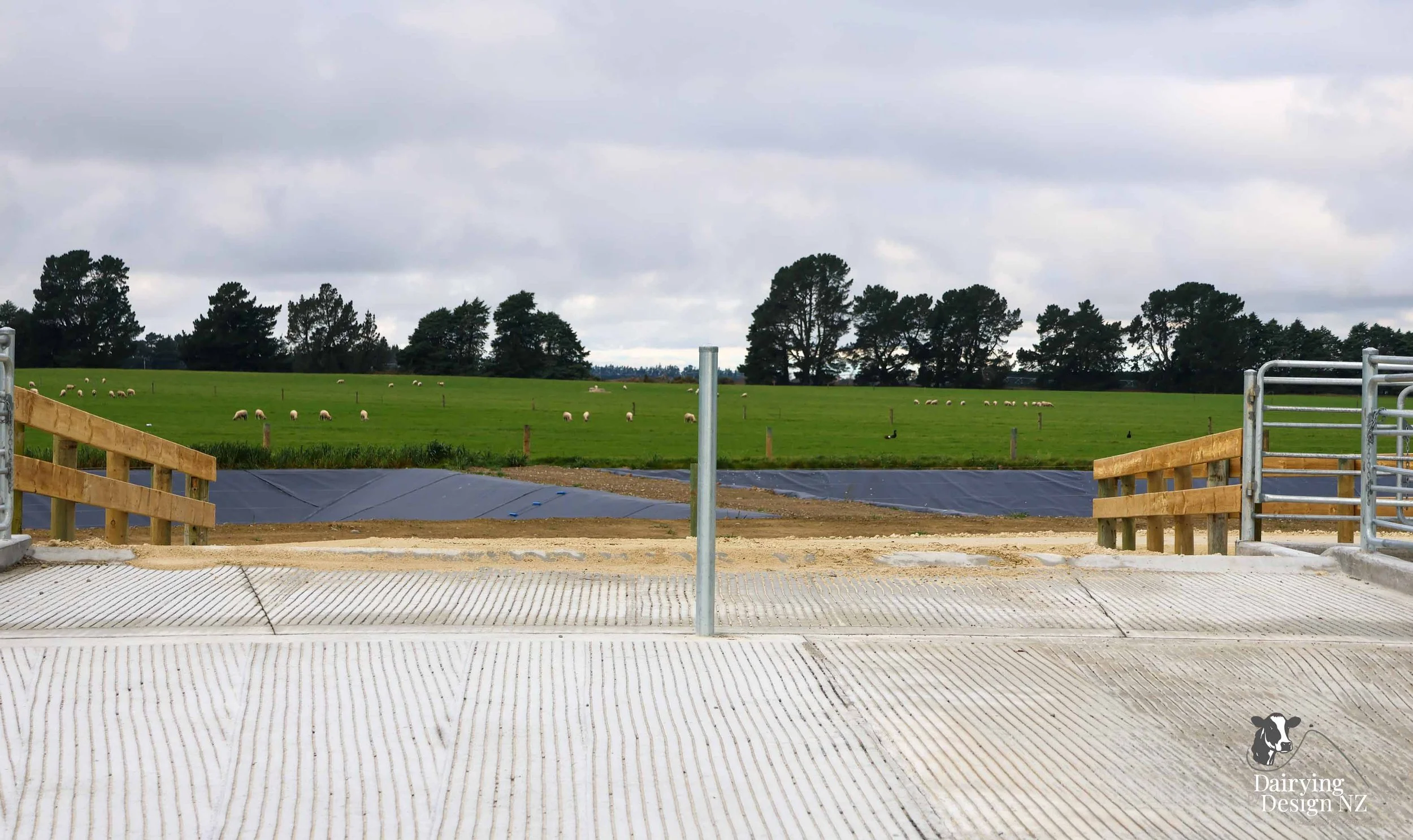  Canterbury rotary dairy shed development designed for efficient milking and cow flow built by Rural Building Solutions, featuring a Donald Engineering Rotary Platform, Earthworks by Densem Contracting 2010 Ltd, Refrigeration by Dairycool, Feed silos
