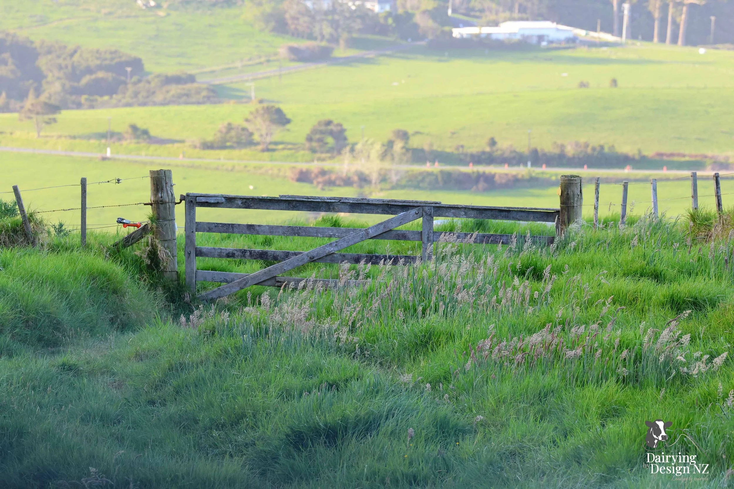 CLEVEDON_gate.jpg