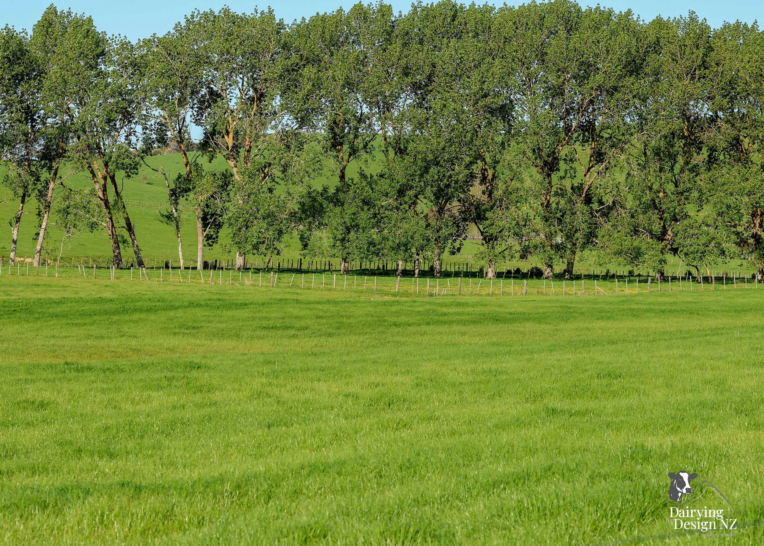 CLEVEDON_Pasture2.jpg