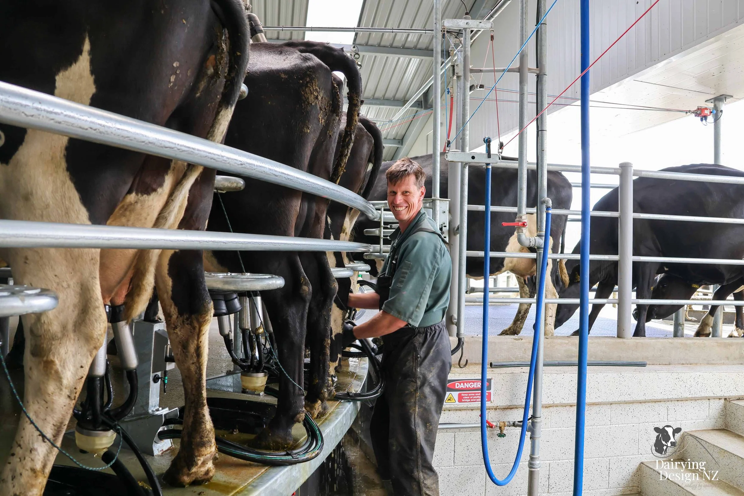 FRASER_CowsMilking3.jpg