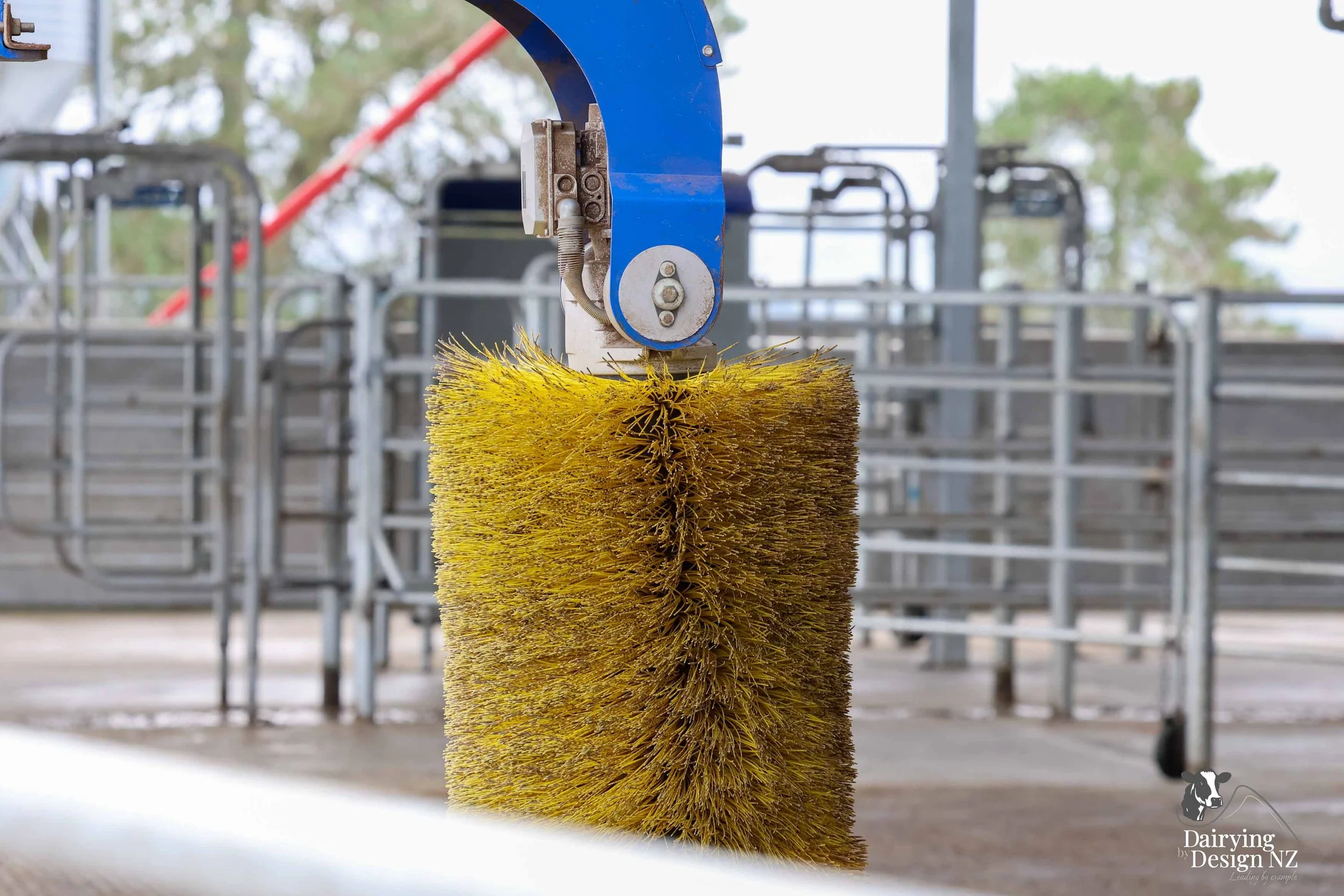  Central Plateau robotic dairy shed development designed for efficient milking and cow flow. Robots by Automation Services, yard work by ABC Milking Equipment, Animal Handling system by The Wrangler, Machinery by Giltrap Agrizone, project for Peter &