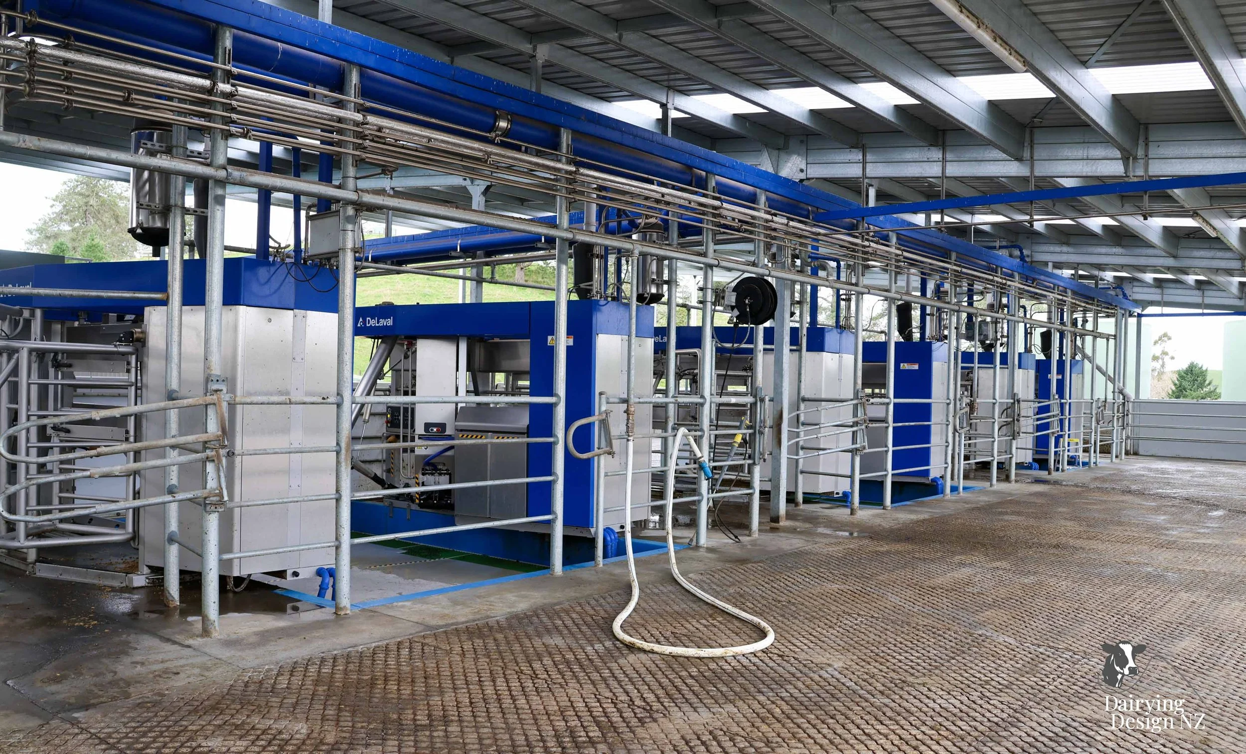  Central Plateau robotic dairy shed development designed for efficient milking and cow flow. Robots by Automation Services, yard work by ABC Milking Equipment, Animal Handling system by The Wrangler, Machinery by Giltrap Agrizone, project for Peter &