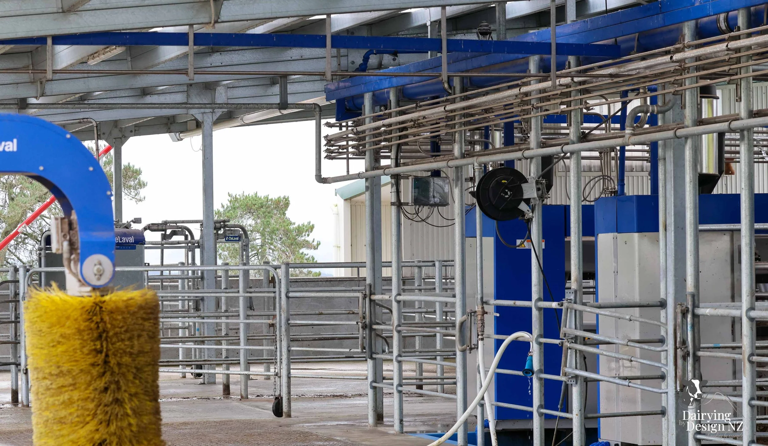  Central Plateau robotic dairy shed development designed for efficient milking and cow flow. Robots by Automation Services, yard work by ABC Milking Equipment, Animal Handling system by The Wrangler, Machinery by Giltrap Agrizone, project for Peter &