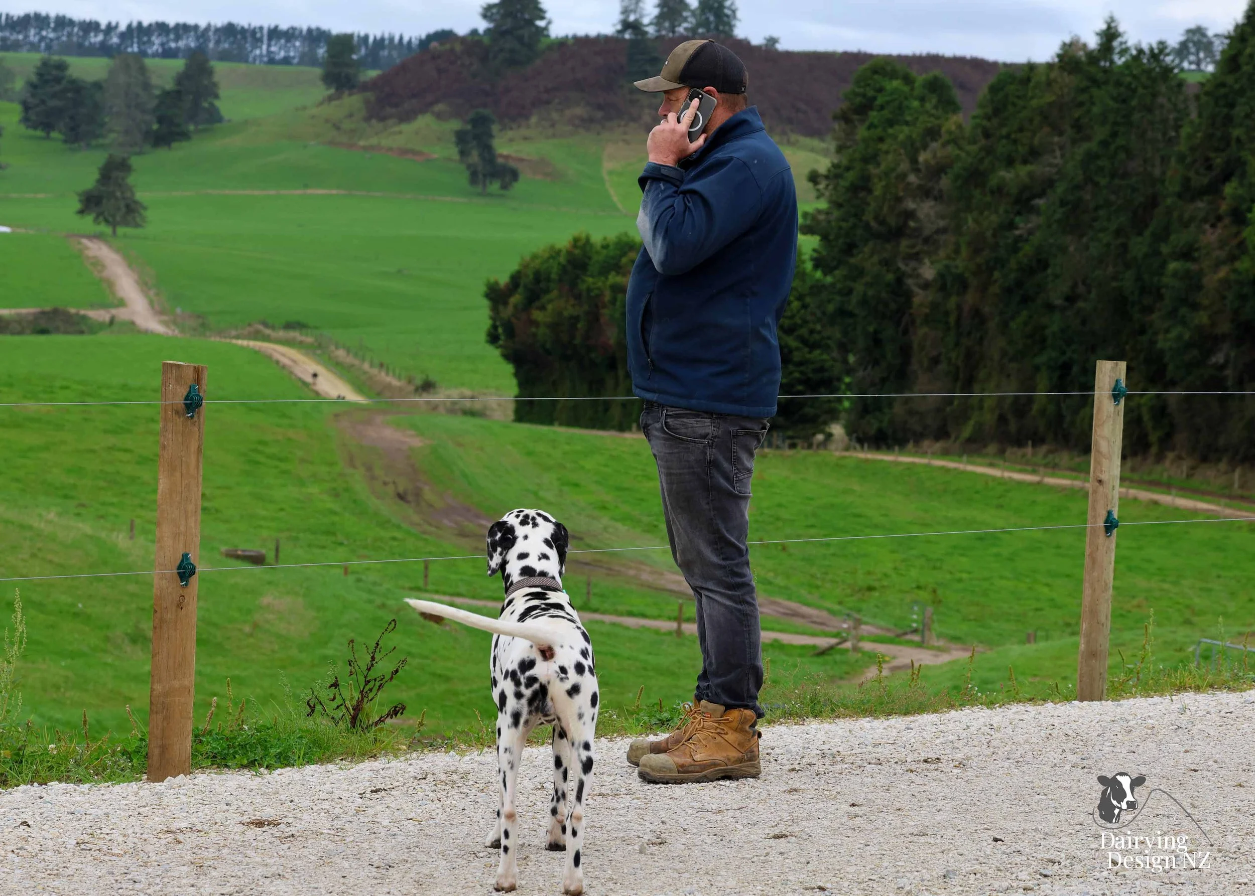  Central Plateau robotic dairy shed development designed for efficient milking and cow flow. Robots by Automation Services, yard work by ABC Milking Equipment, Animal Handling system by The Wrangler, Machinery by Giltrap Agrizone, project for Peter &
