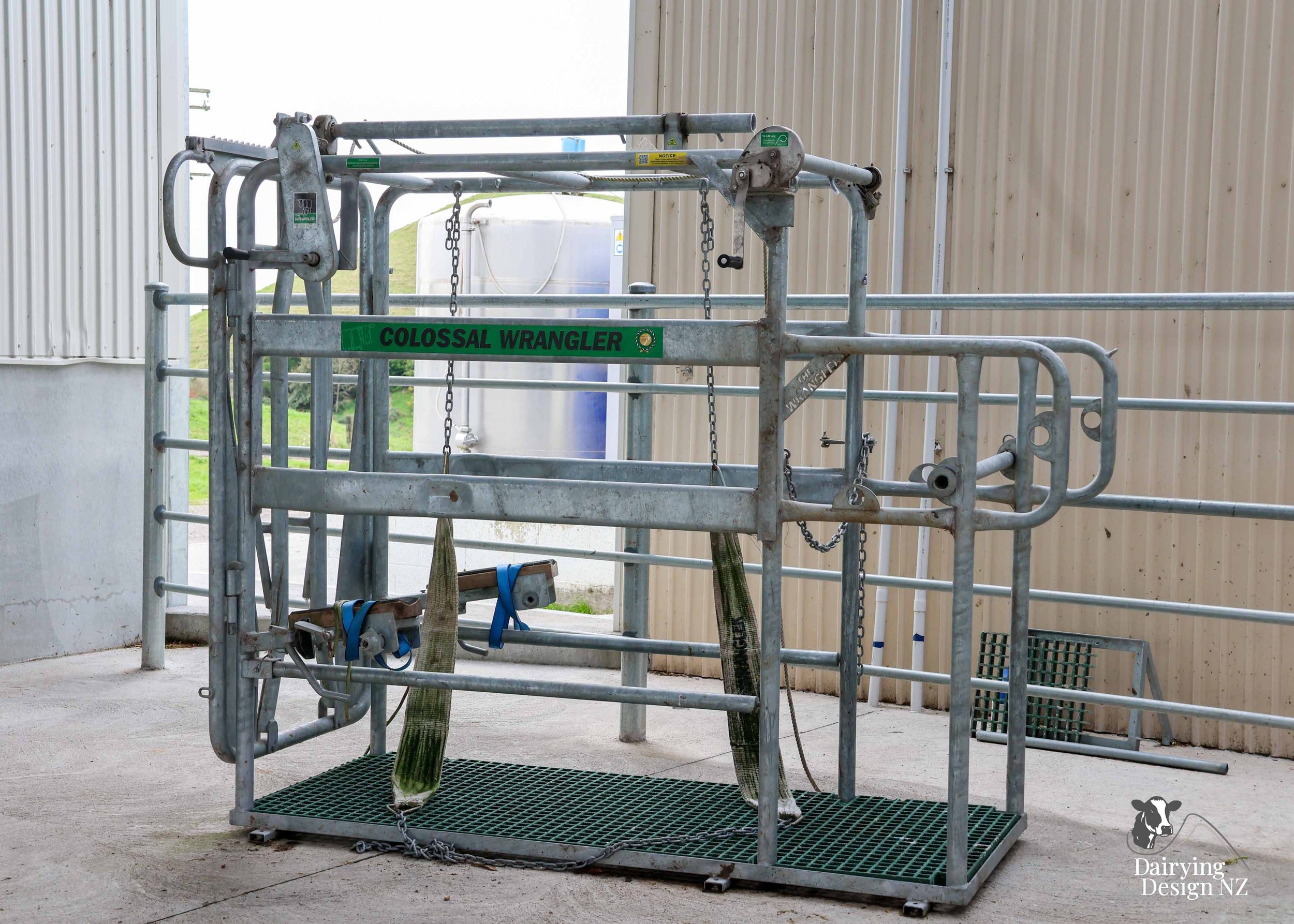  Central Plateau robotic dairy shed development designed for efficient milking and cow flow. Robots by Automation Services, yard work by ABC Milking Equipment, Animal Handling system by The Wrangler, Machinery by Giltrap Agrizone, project for Peter &
