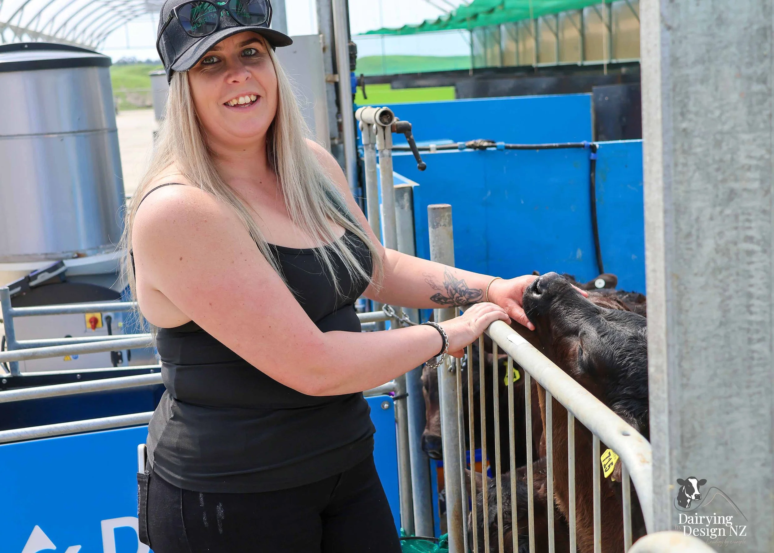  Waikato Calf barn development designed for calf health built by Broomfield Construction, Electrical work by Laser Electrical Putaruru, Robotic Calf Feeders by Pratt Milking Machines (PML), Earthworks by WR Mankelow, Calf Feed by Maxum Food, project 