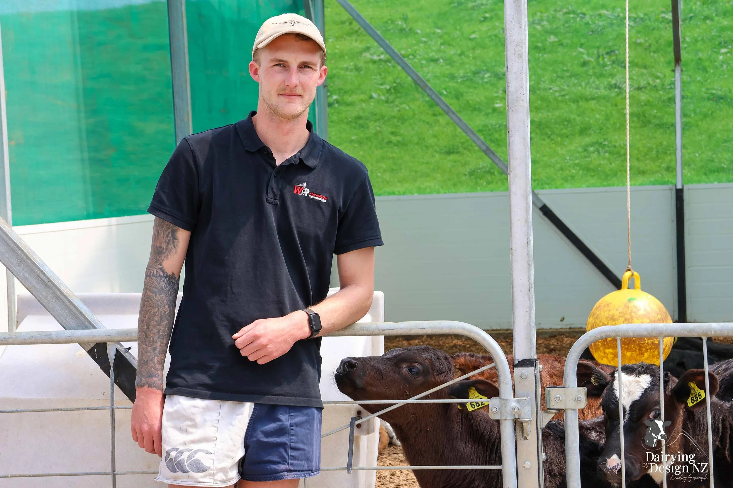  Waikato Calf barn development designed for calf health built by Broomfield Construction, Electrical work by Laser Electrical Putaruru, Robotic Calf Feeders by Pratt Milking Machines (PML), Earthworks by WR Mankelow, Calf Feed by Maxum Food, project 
