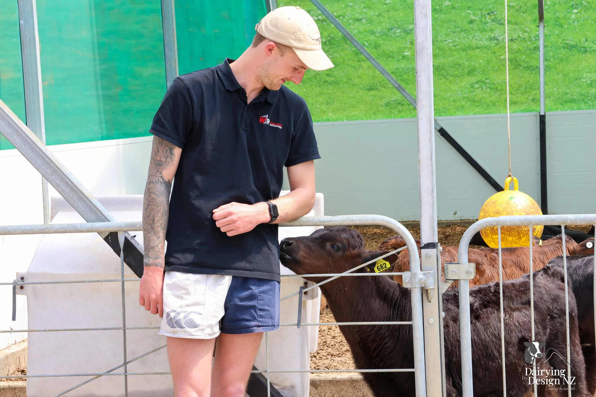  Waikato Calf barn development designed for calf health built by Broomfield Construction, Electrical work by Laser Electrical Putaruru, Robotic Calf Feeders by Pratt Milking Machines (PML), Earthworks by WR Mankelow, Calf Feed by Maxum Food, project 