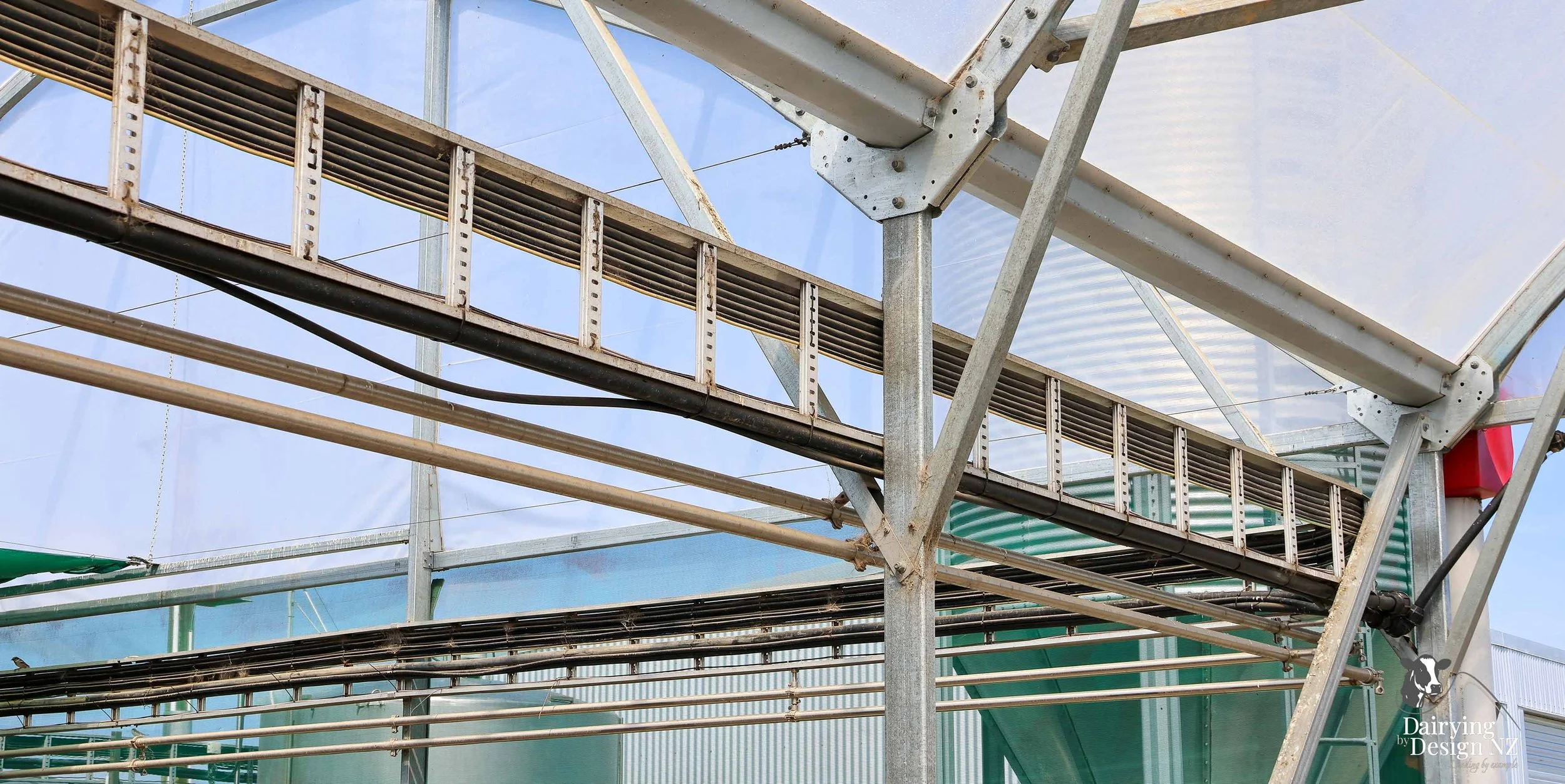  Waikato Calf barn development designed for calf health built by Broomfield Construction, Electrical work by Laser Electrical Putaruru, Robotic Calf Feeders by Pratt Milking Machines (PML), Earthworks by WR Mankelow, Calf Feed by Maxum Food, project 