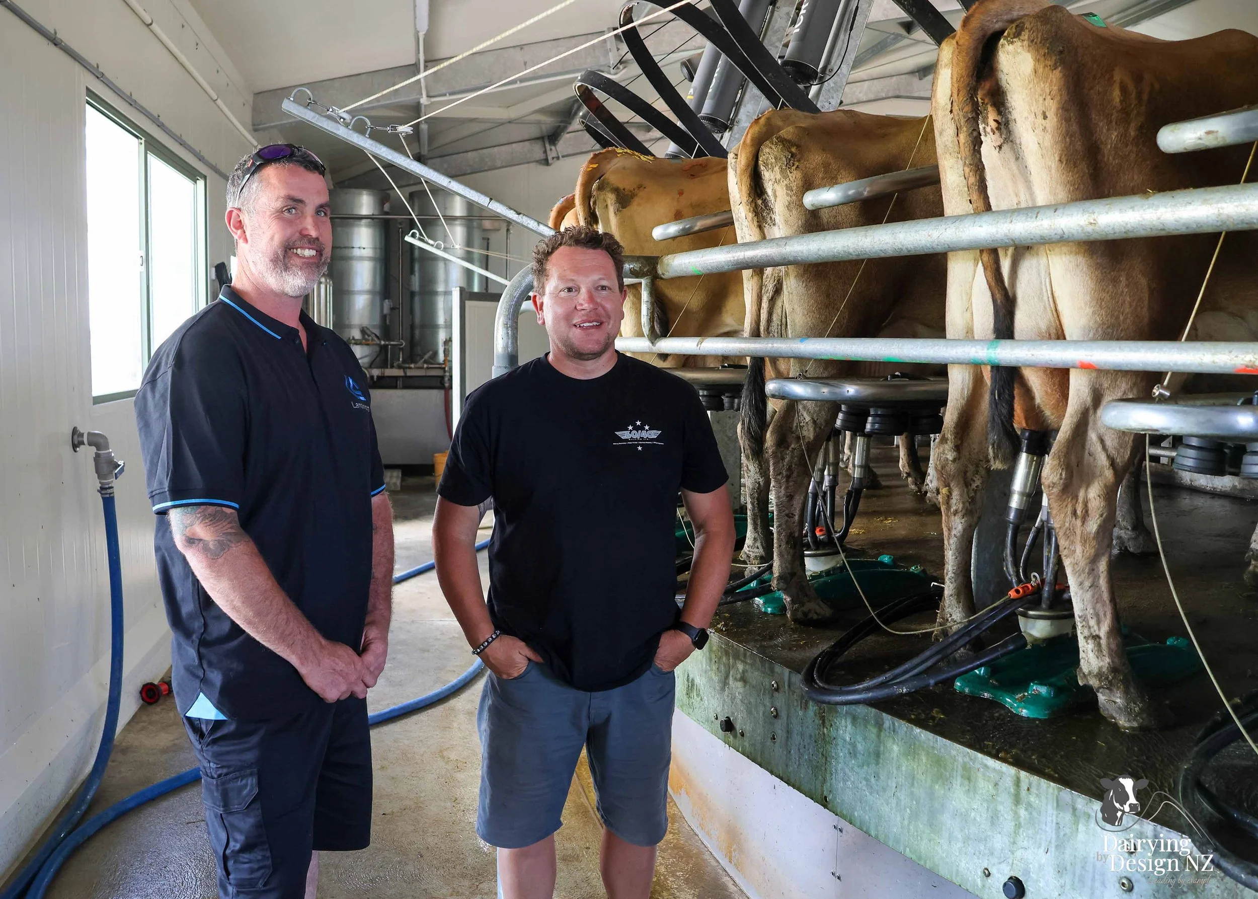  Whakatane rotary dairy shed development designed for efficient milking and cow flow built by Yates Carpentry &amp; Construction, Milking plant install by 60/40 Milking, yard work by WJ Dippie, Milking platform by Landmore Agri, Effluent storage by K