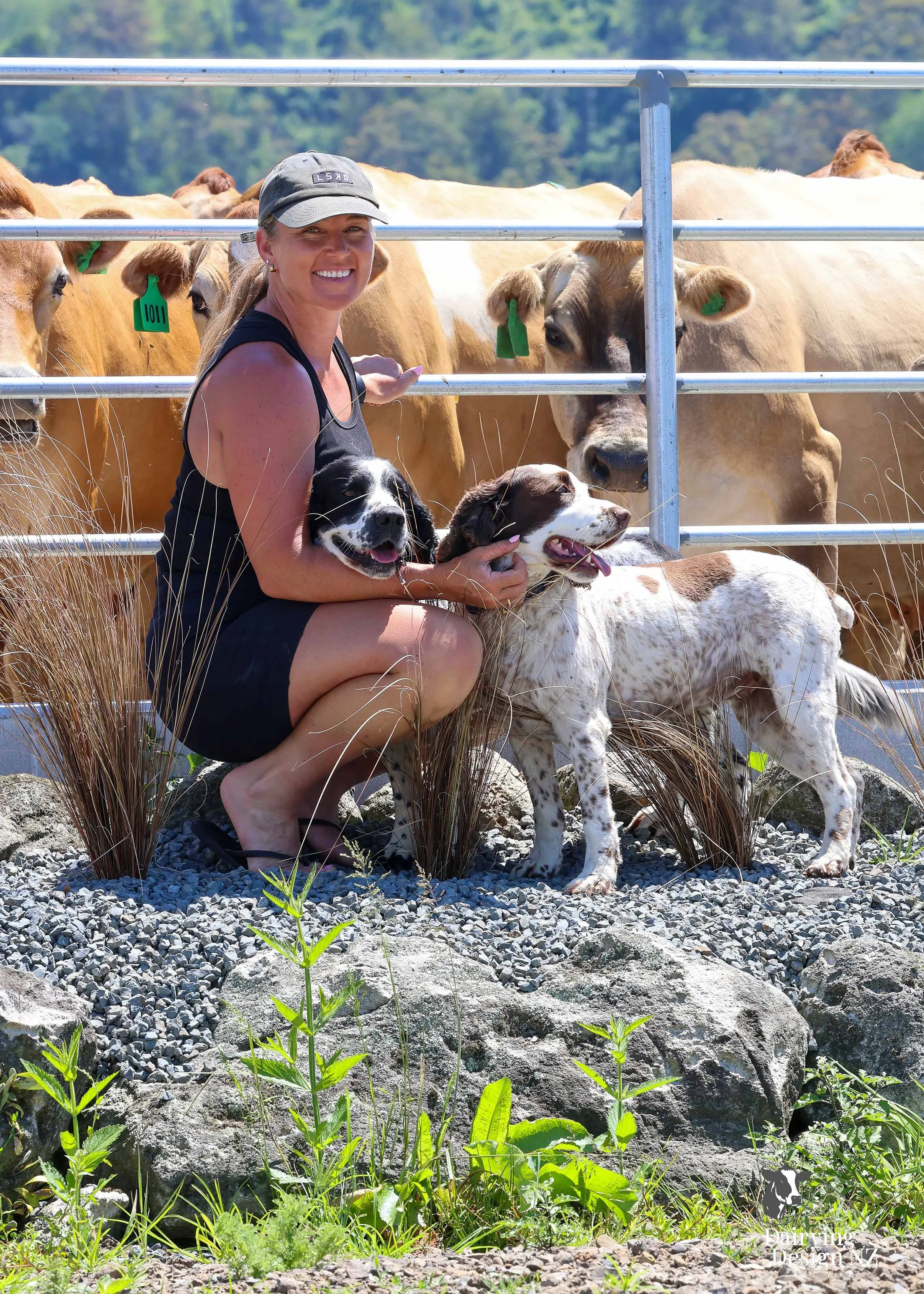  Whakatane rotary dairy shed development designed for efficient milking and cow flow built by Yates Carpentry &amp; Construction, Milking plant install by 60/40 Milking, yard work by WJ Dippie, Milking platform by Landmore Agri, Effluent storage by K