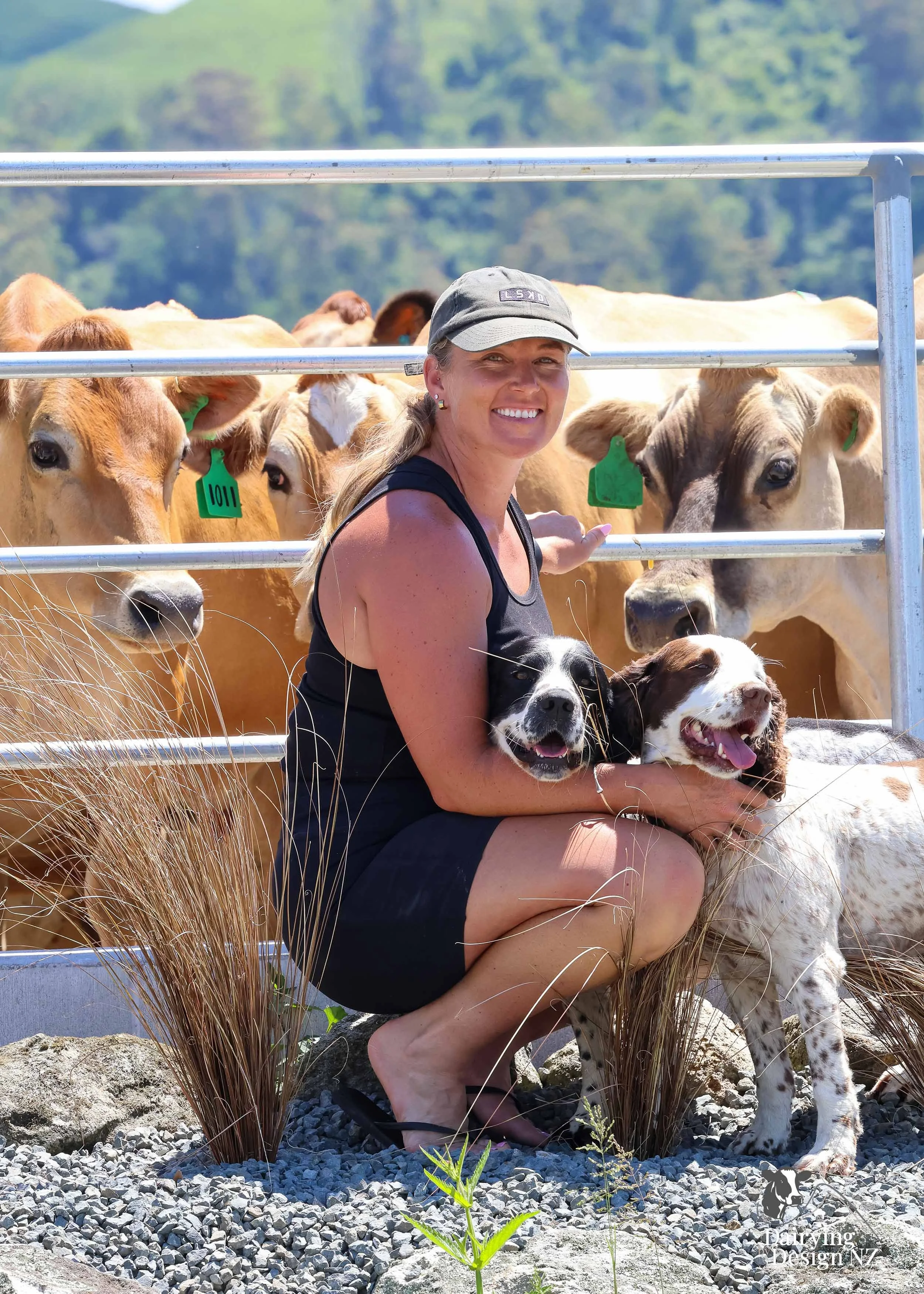  Whakatane rotary dairy shed development designed for efficient milking and cow flow built by Yates Carpentry &amp; Construction, Milking plant install by 60/40 Milking, yard work by WJ Dippie, Milking platform by Landmore Agri, Effluent storage by K